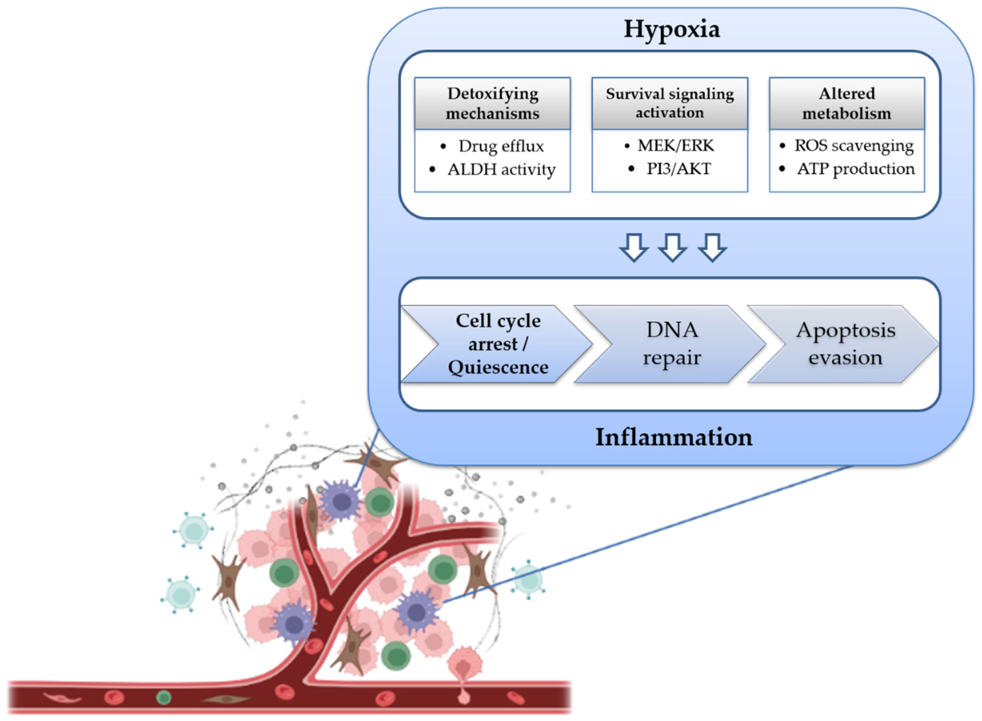 IJMS | Free Full-Text | Chemoresistance-Related Stem Cell 