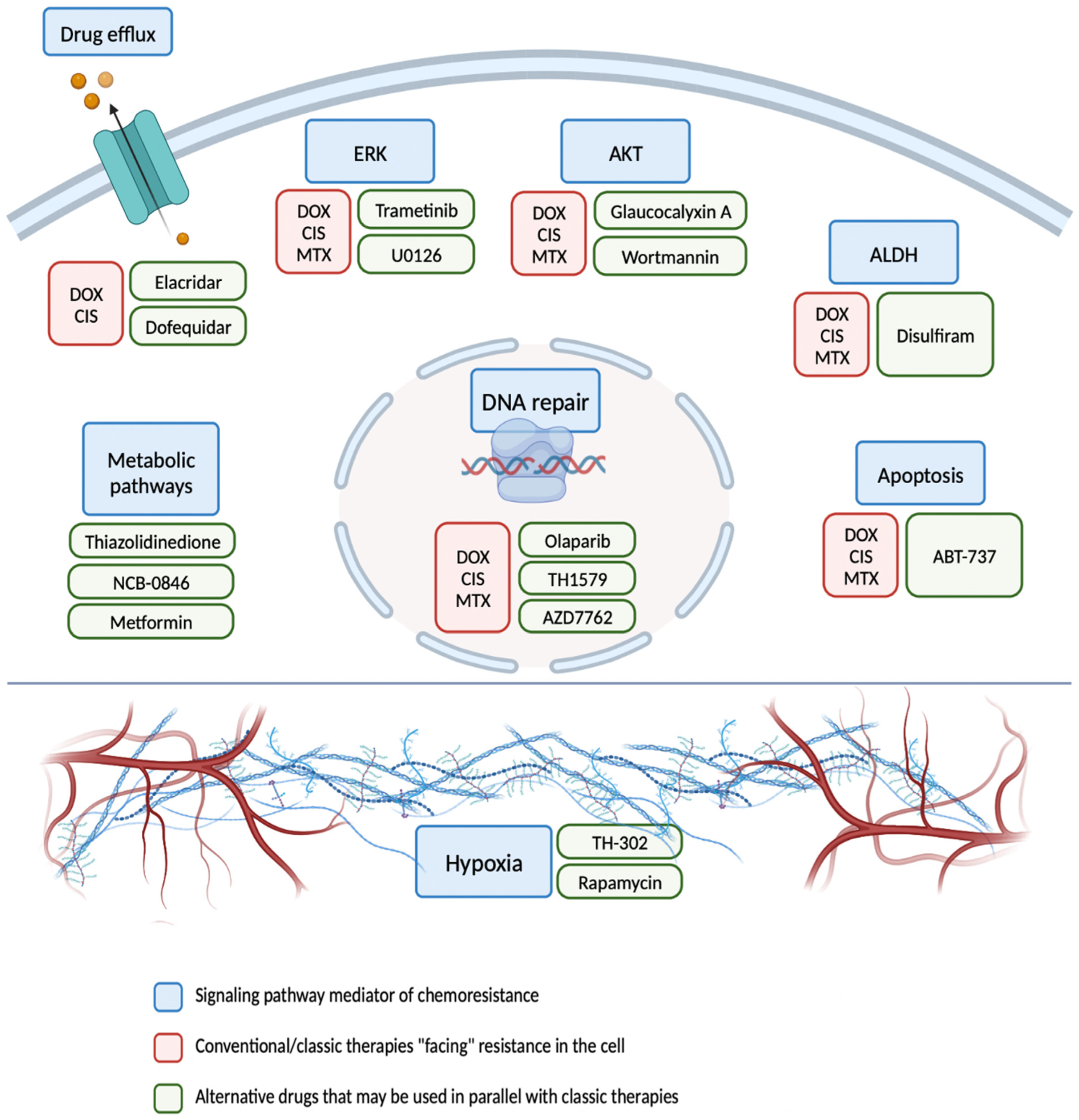 IJMS | Free Full-Text | Chemoresistance-Related Stem Cell 