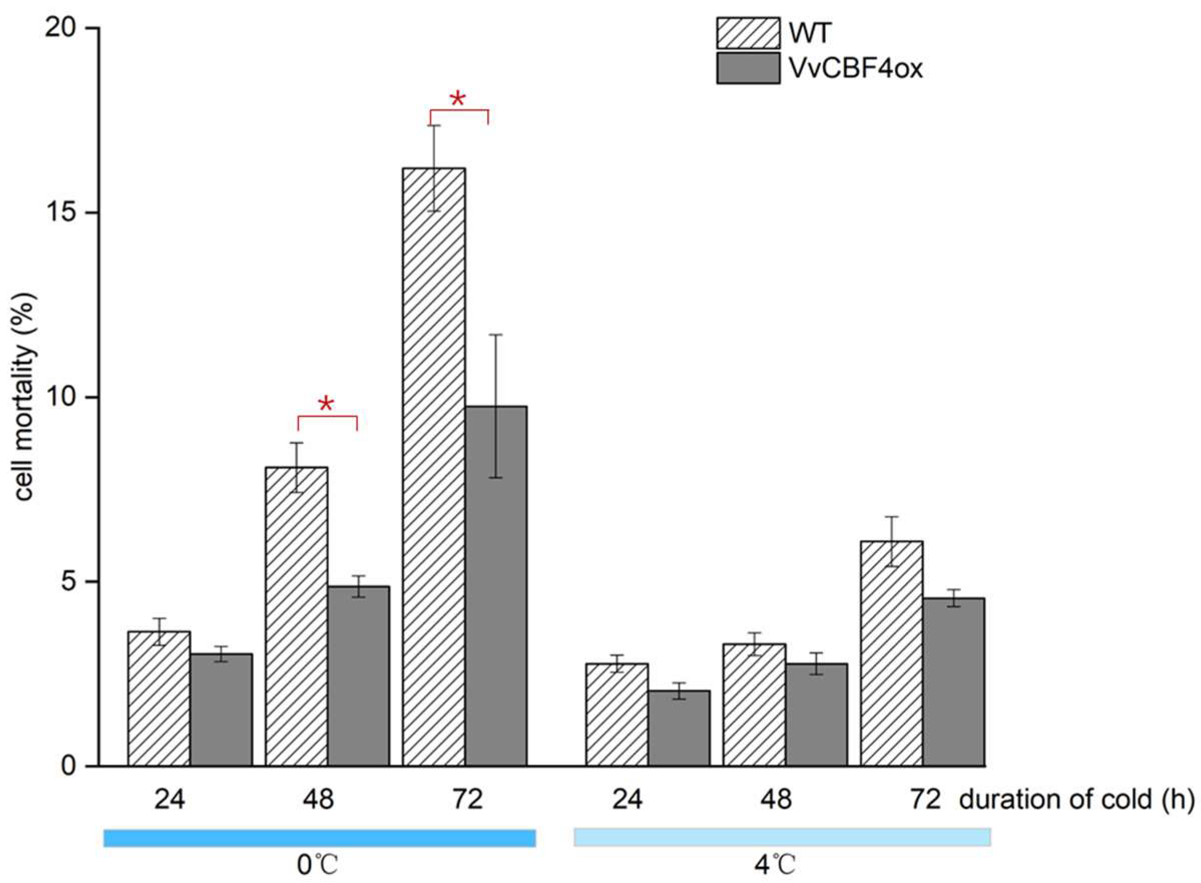 Ijms 23 11417 g002 Ijms 23 11417 g002