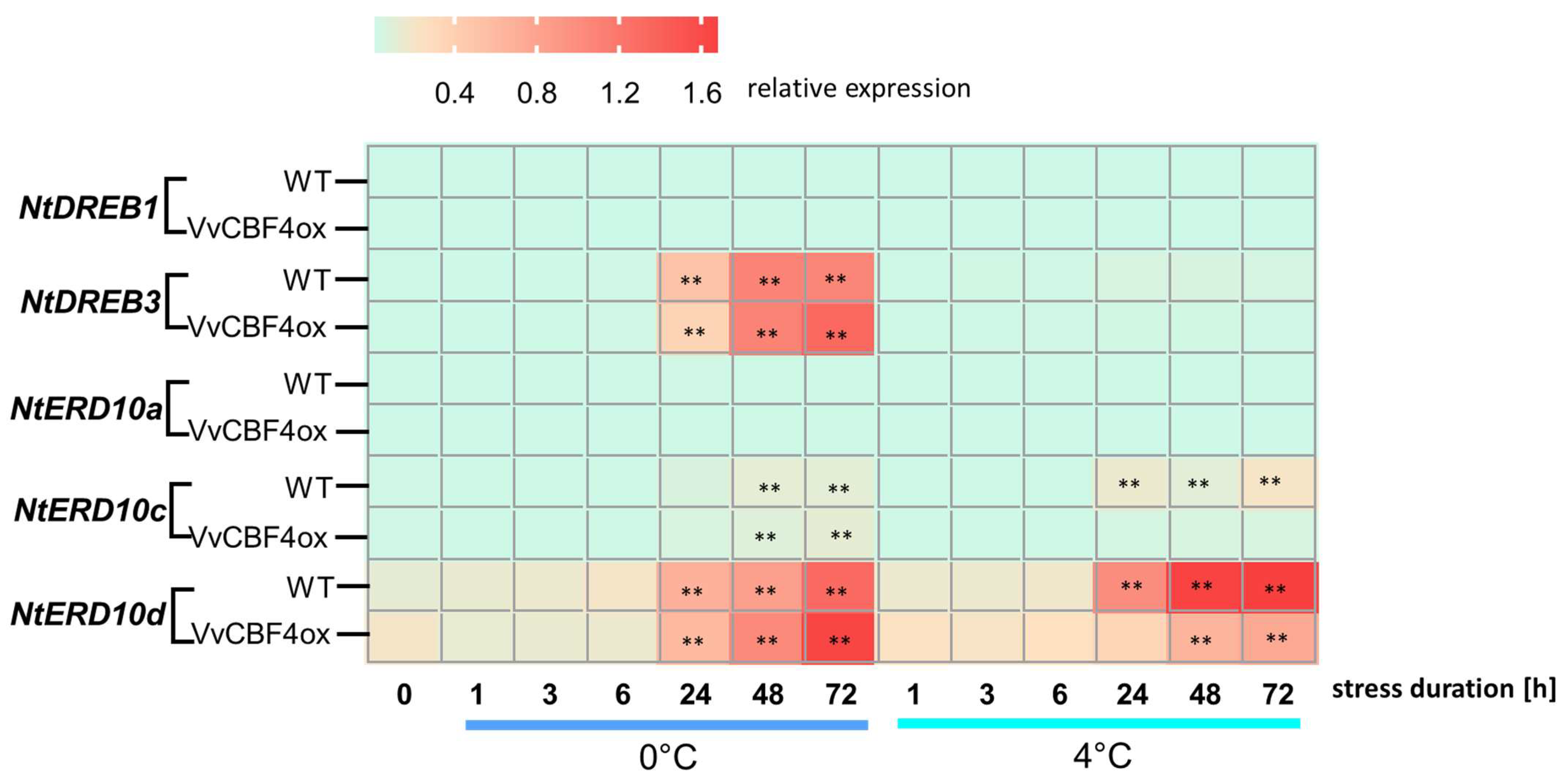 Ijms 23 11417 g004 Ijms 23 11417 g004