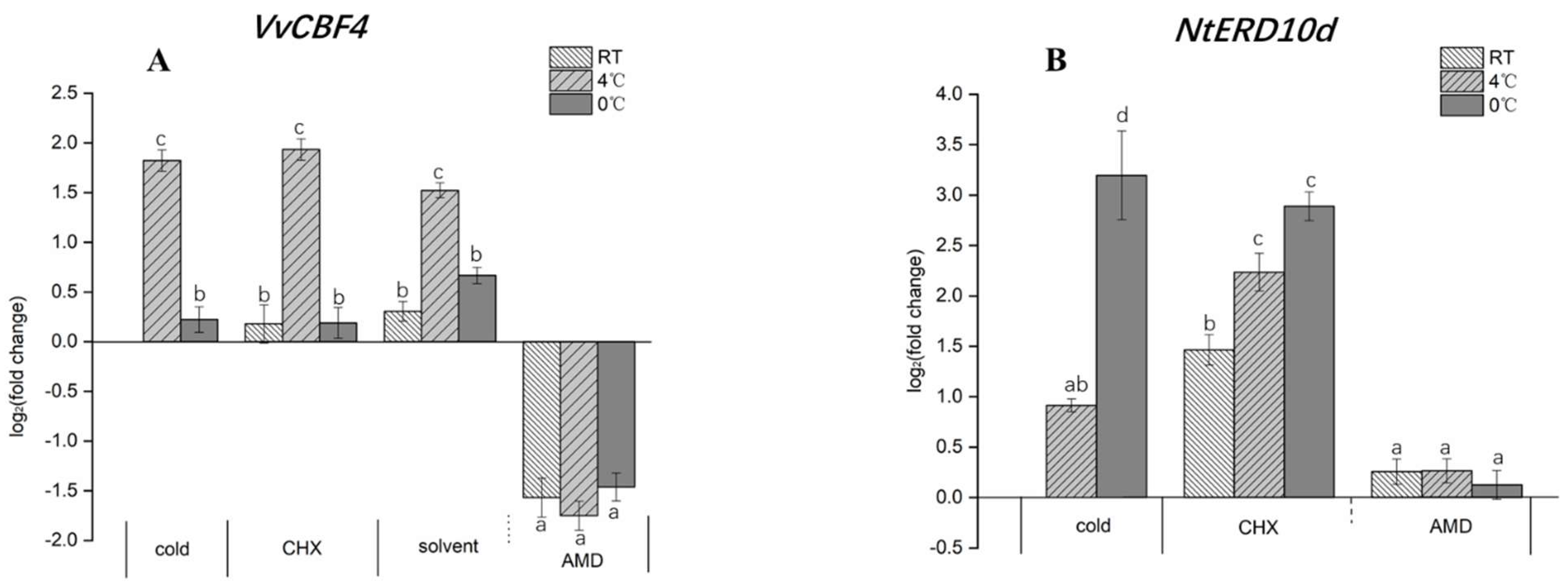 Ijms 23 11417 g006 Ijms 23 11417 g006
