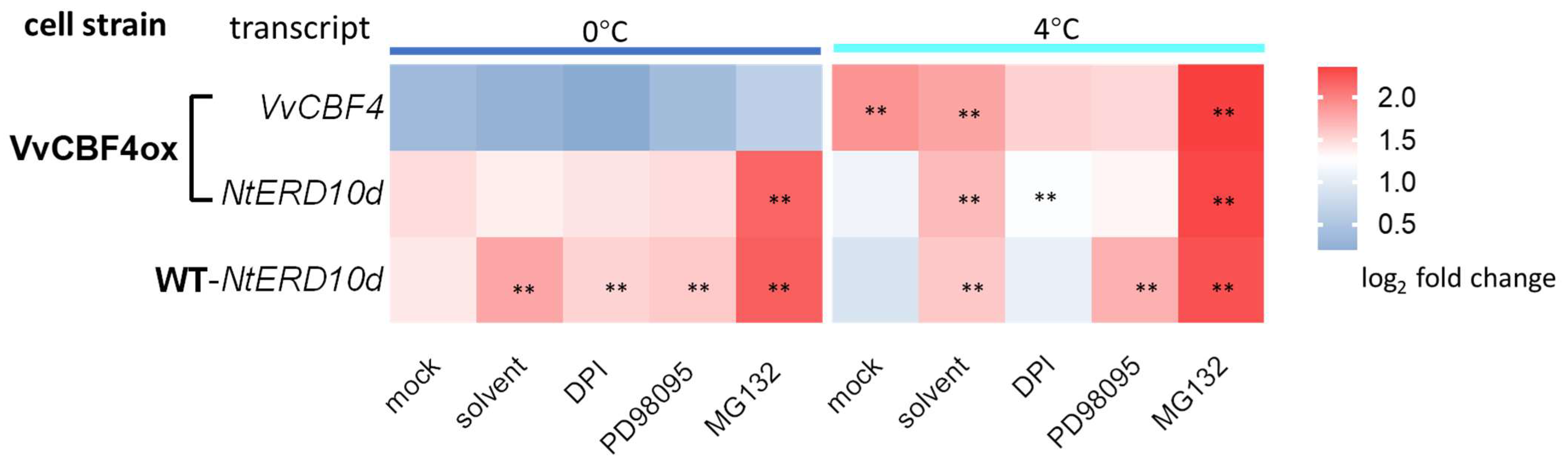 Ijms 23 11417 g007 Ijms 23 11417 g007
