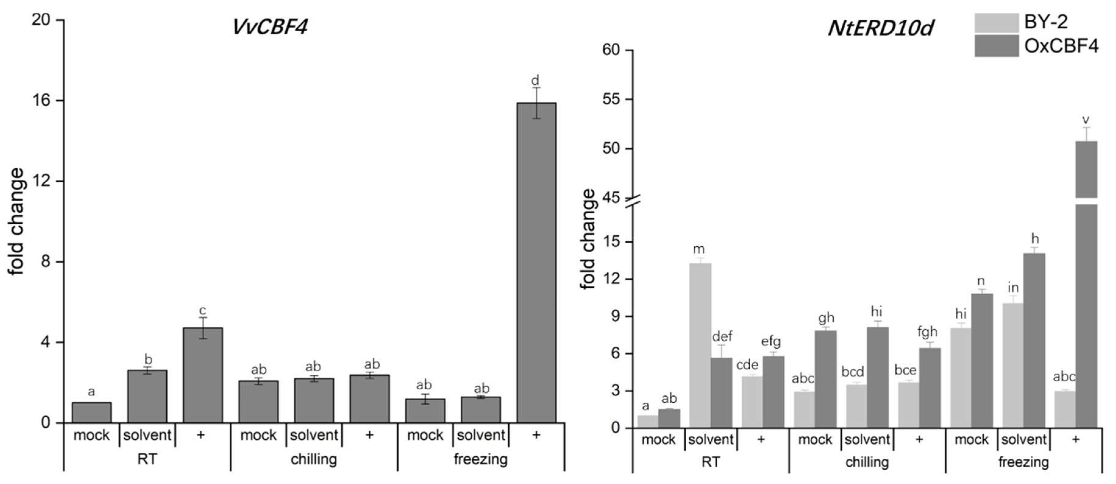 Ijms 23 11417 g008 Ijms 23 11417 g008