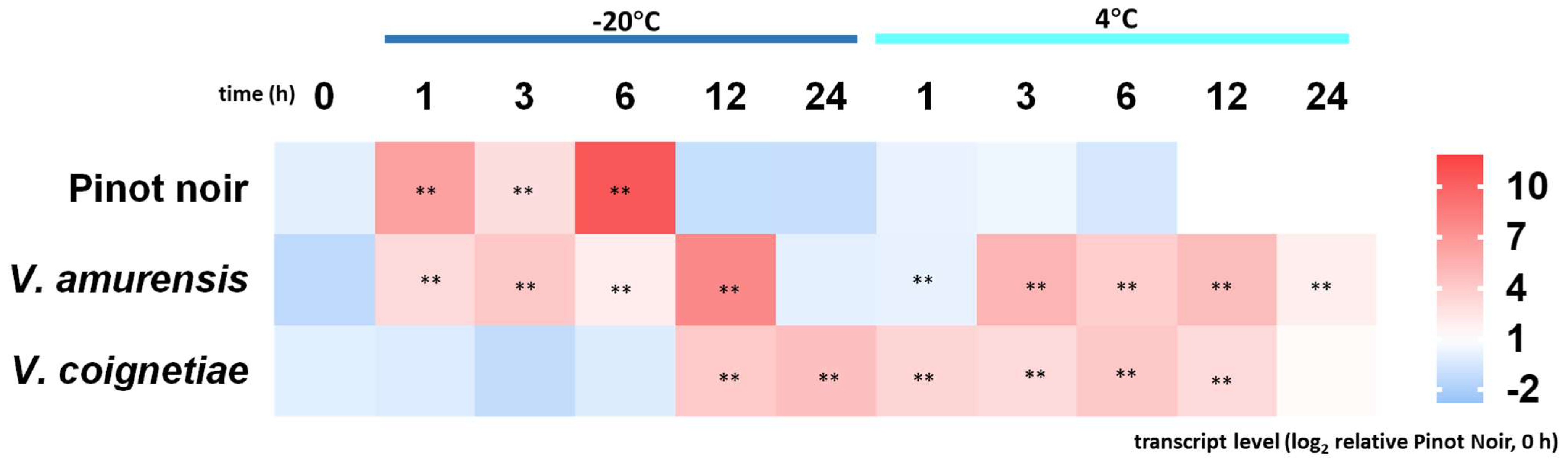 Ijms 23 11417 g009 Ijms 23 11417 g009