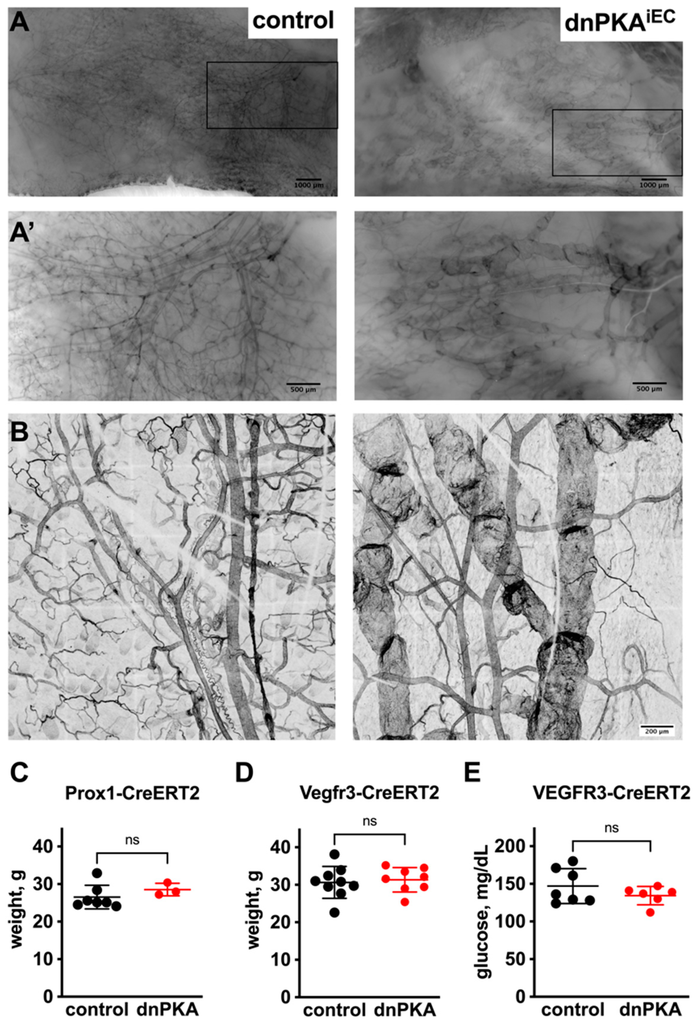 Ijms 23 11419 g003 Ijms 23 11419 g003