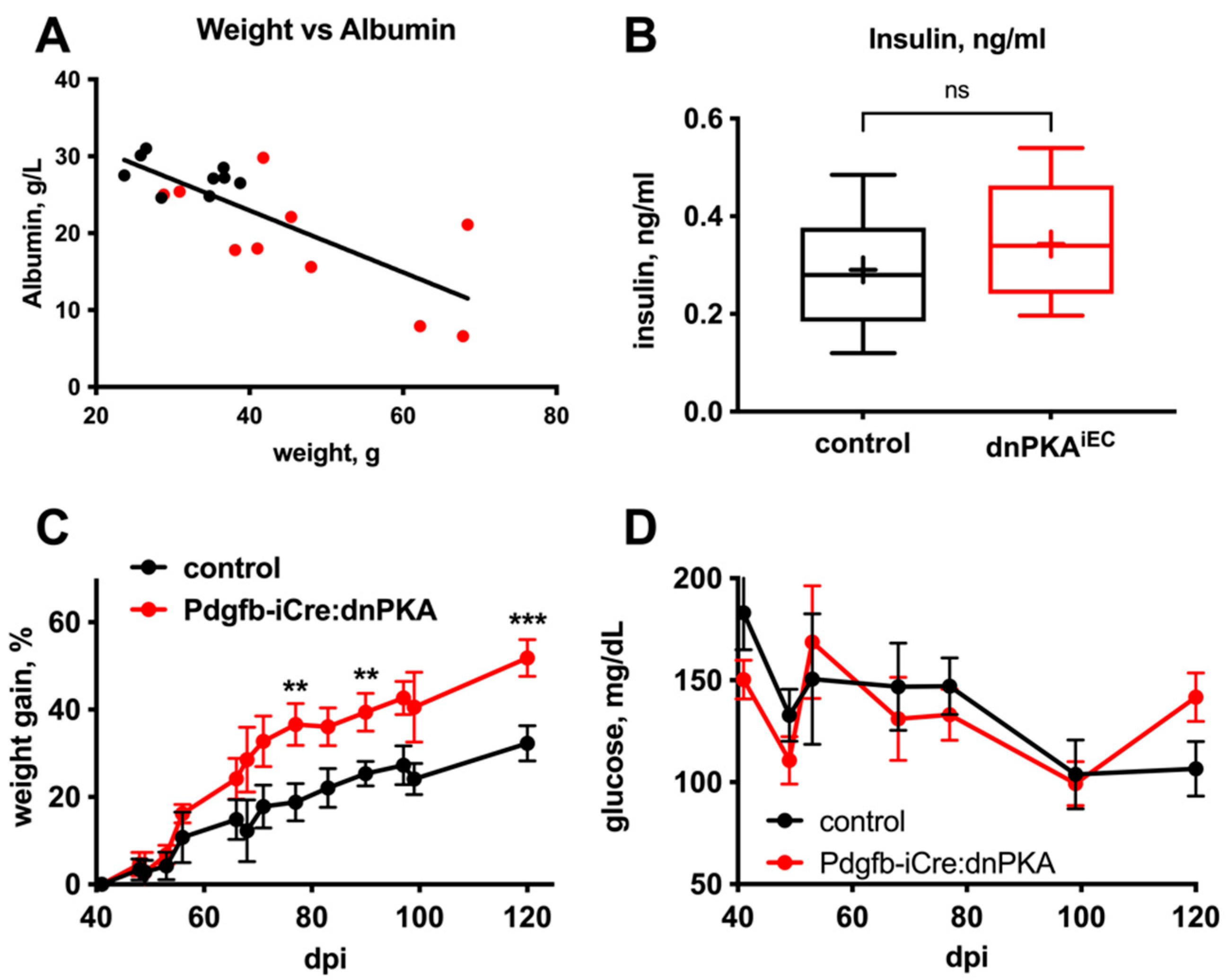 Ijms 23 11419 g006 Ijms 23 11419 g006