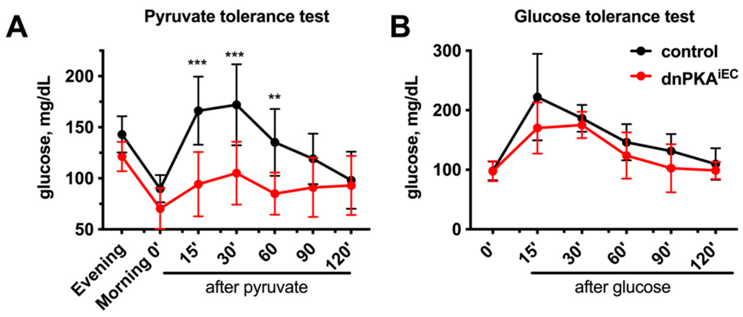 Ijms 23 11419 g007 Ijms 23 11419 g007