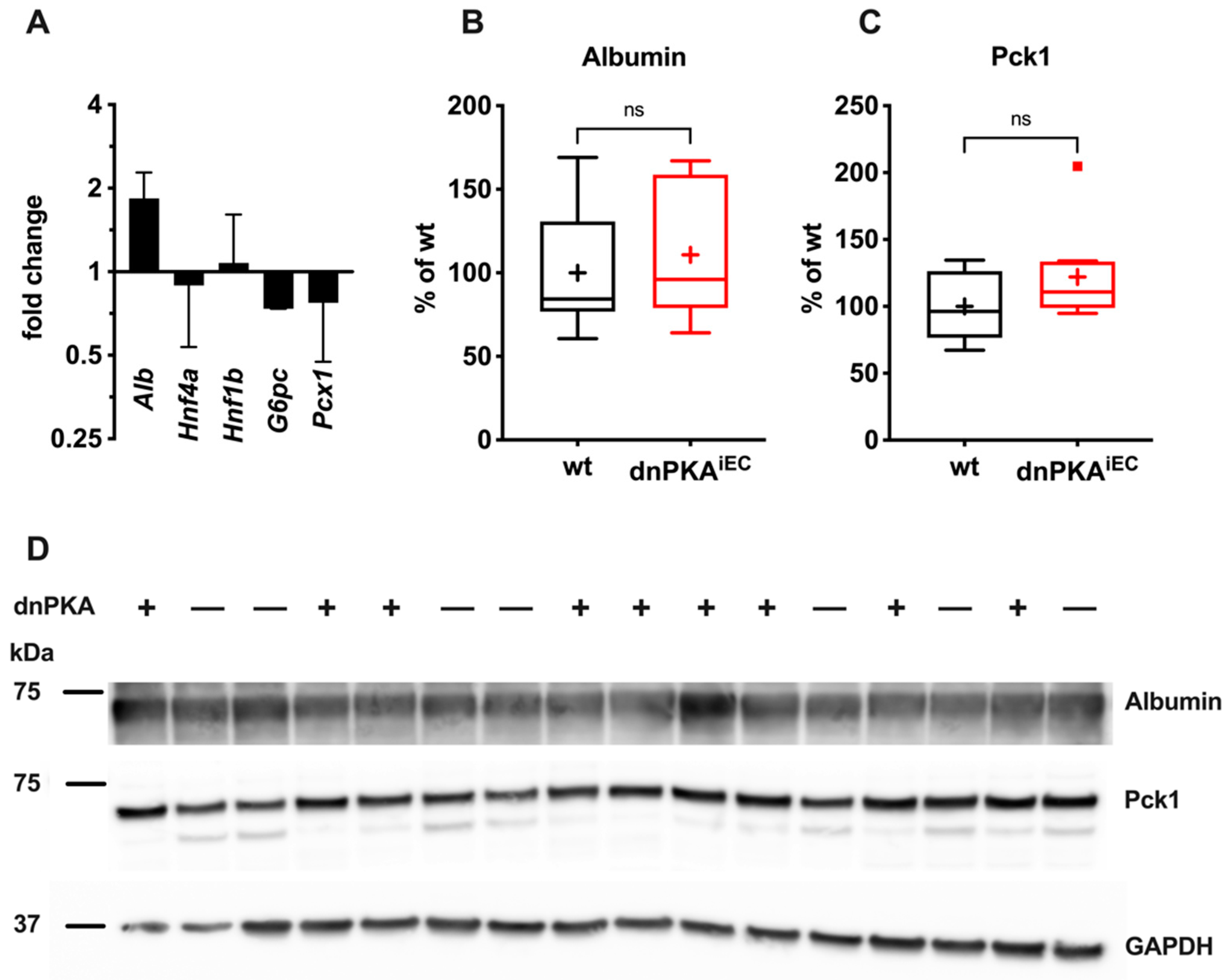 Ijms 23 11419 g008 Ijms 23 11419 g008