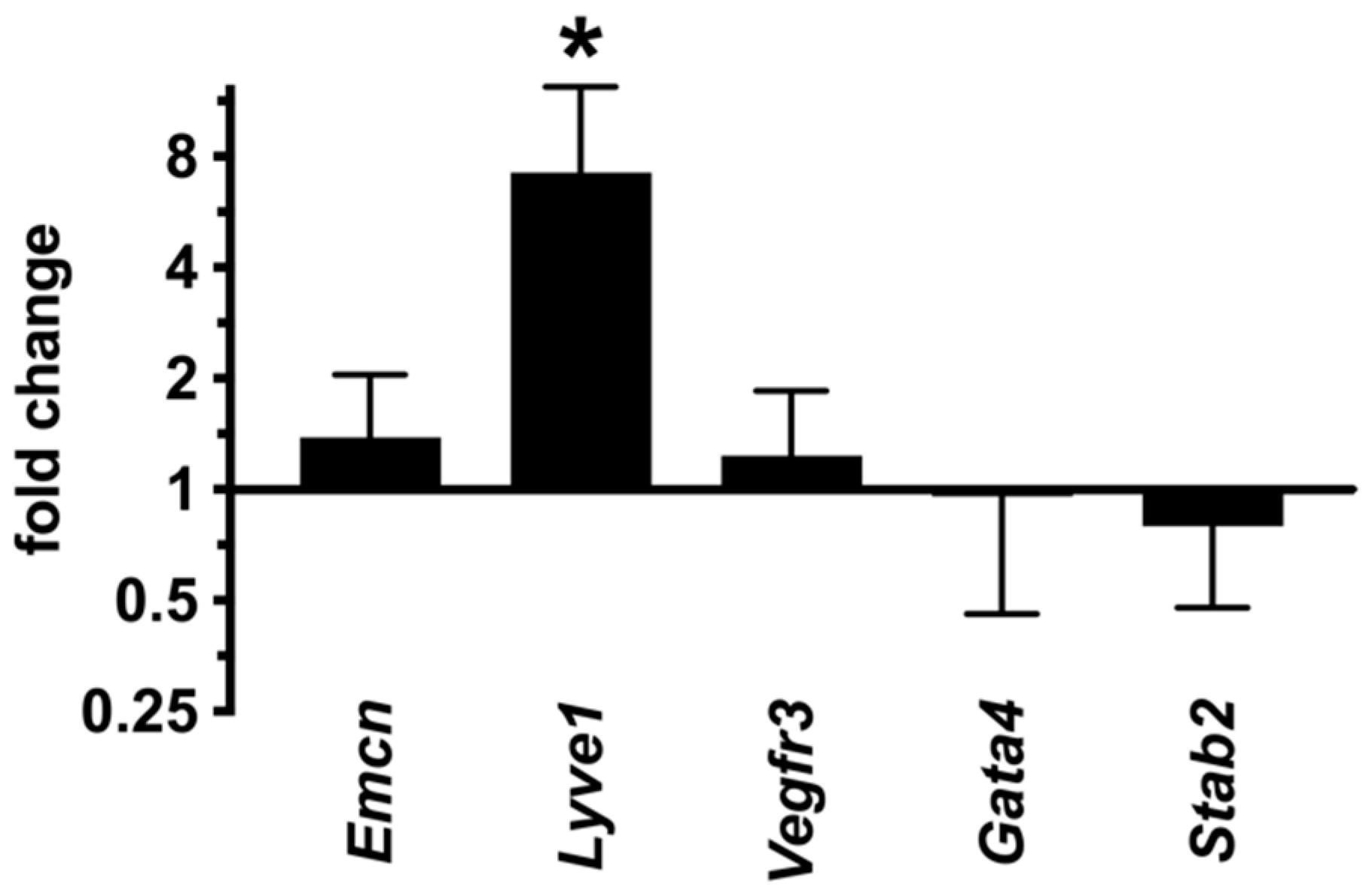 Ijms 23 11419 g011 Ijms 23 11419 g011