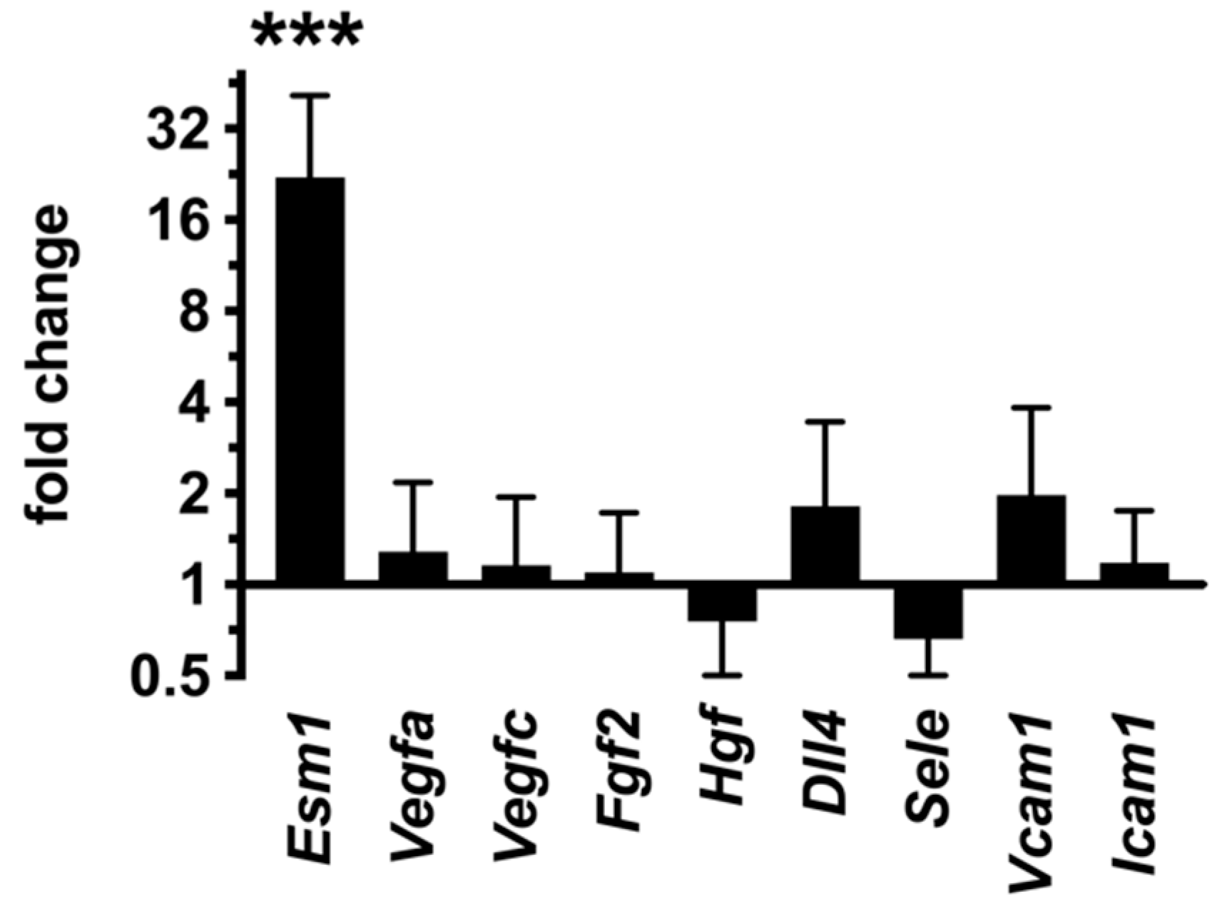 Ijms 23 11419 g013 Ijms 23 11419 g013