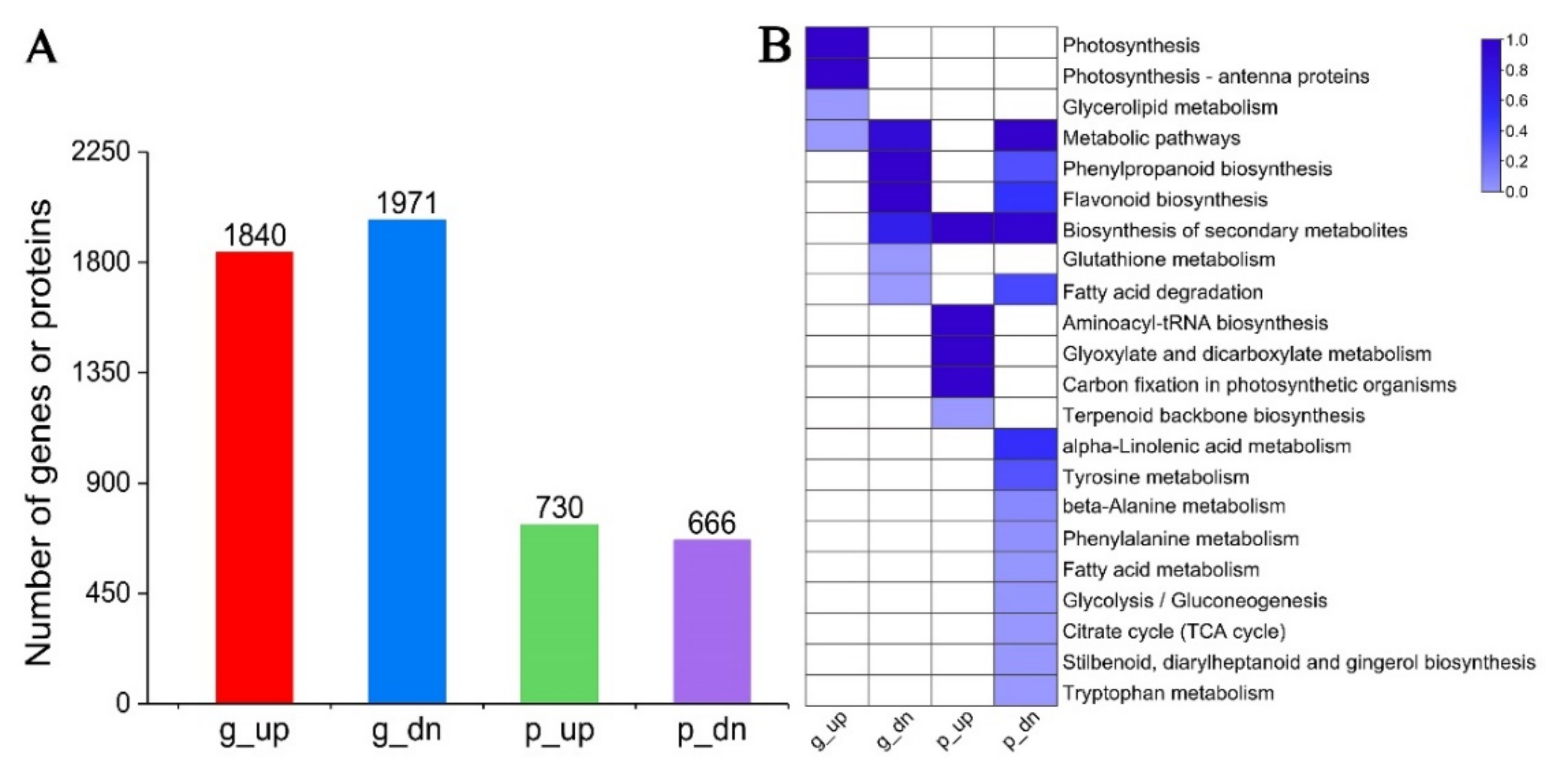 Ijms 23 11420 g004 Ijms 23 11420 g004