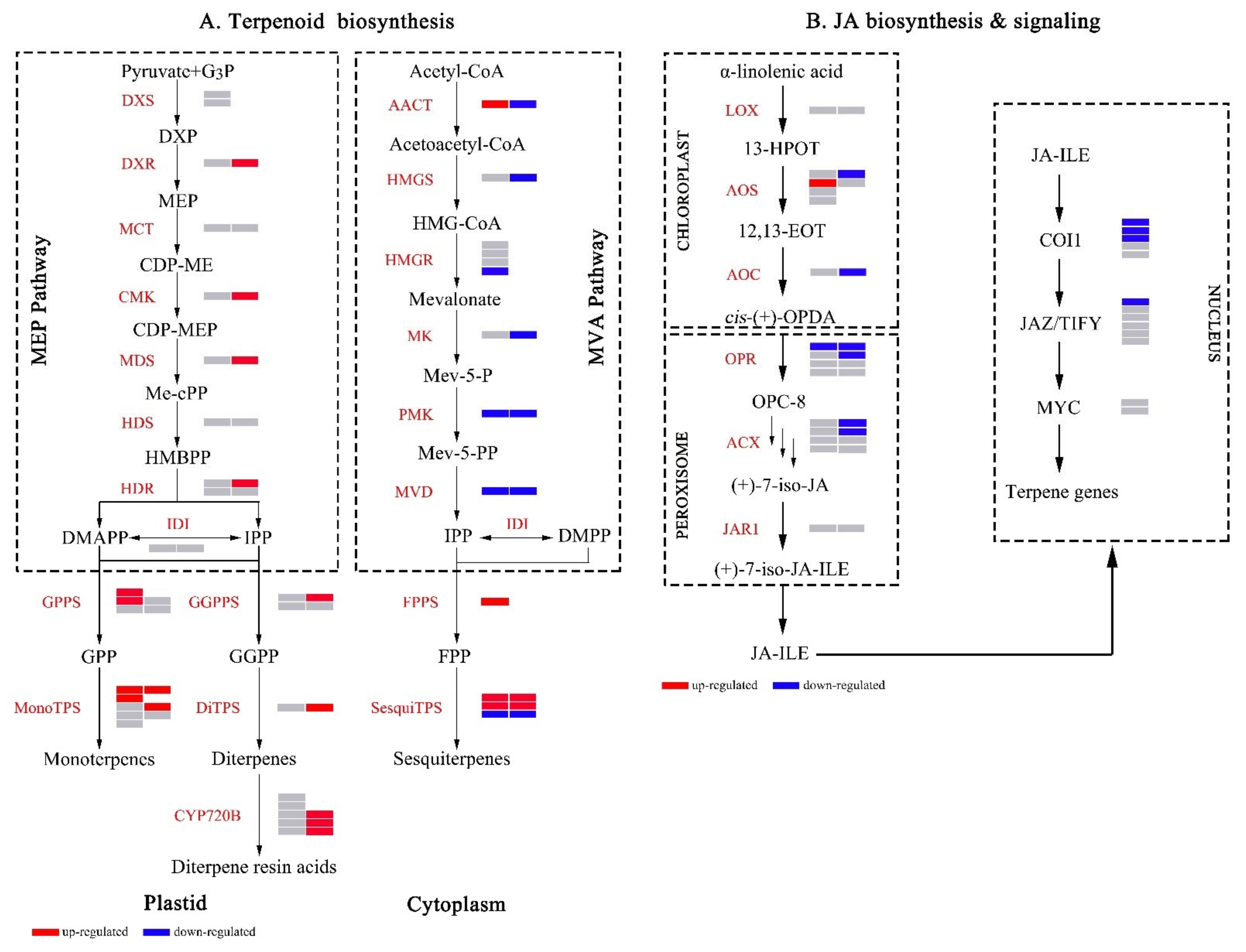 Ijms 23 11420 g008 Ijms 23 11420 g008