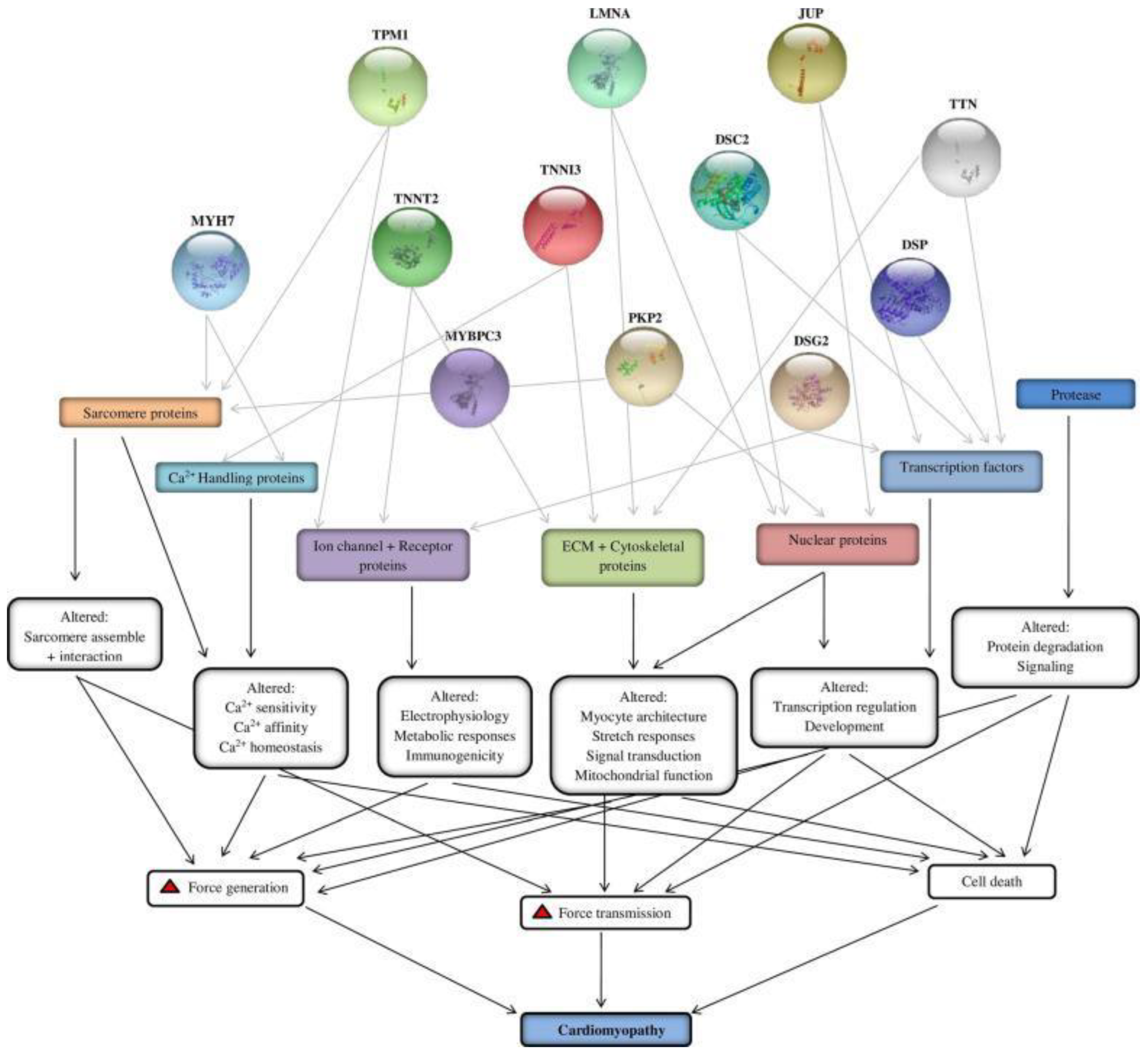 Ijms 23 11421 g002 Ijms 23 11421 g002