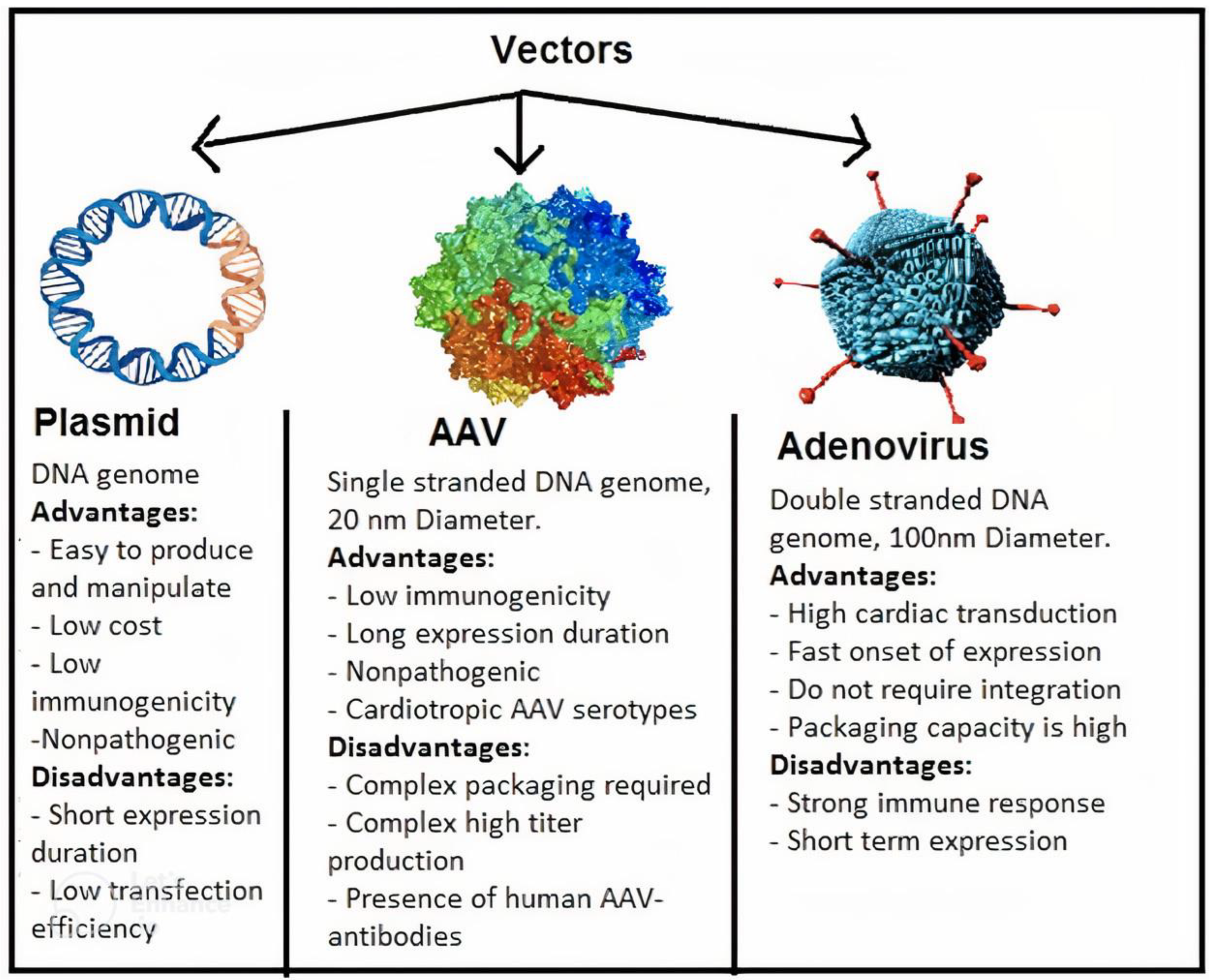 Ijms 23 11421 g003 Ijms 23 11421 g003