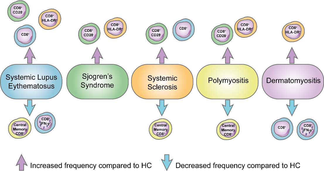 Ijms 23 11431 g002 Ijms 23 11431 g002