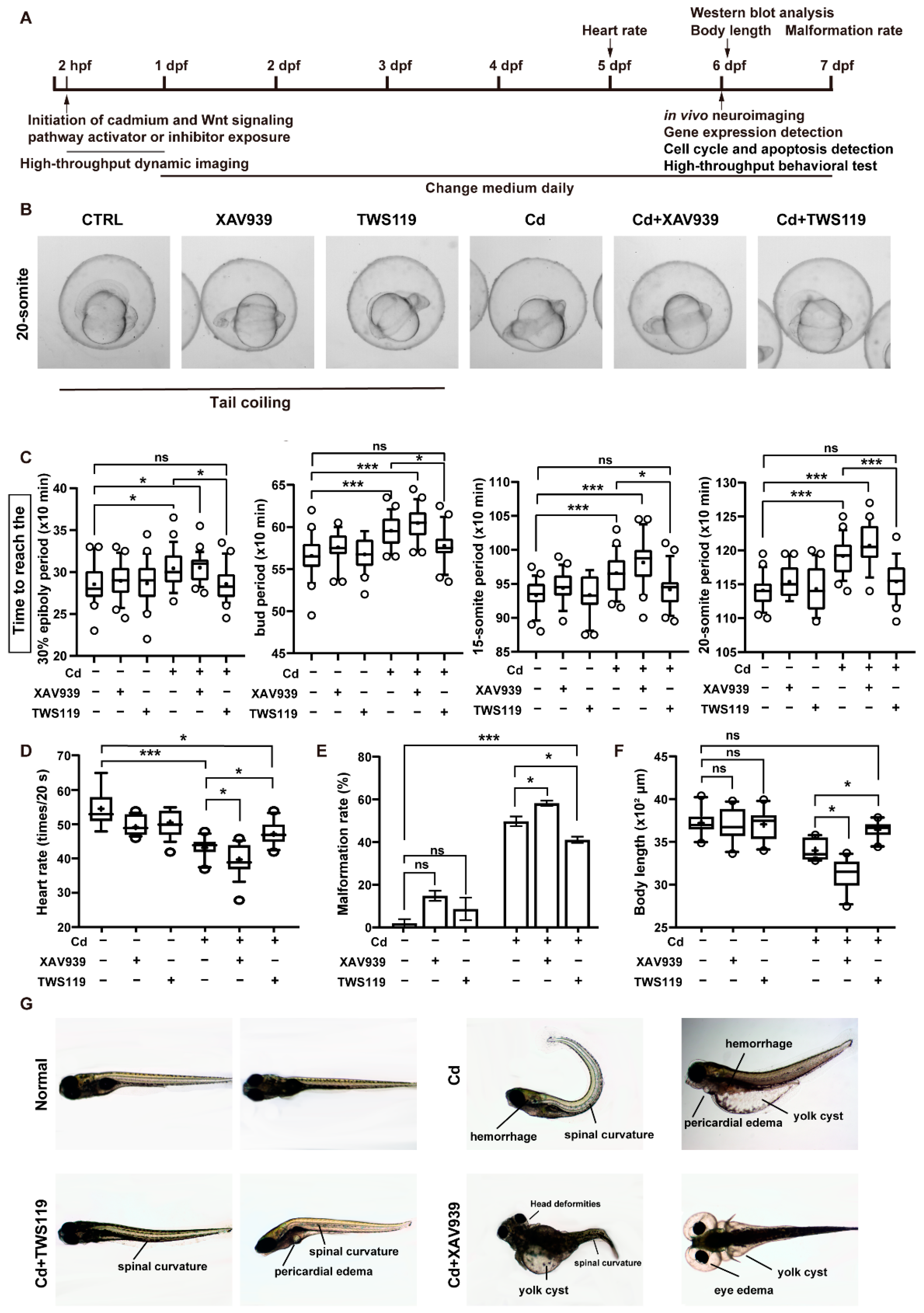 Ijms 23 11434 g002 Ijms 23 11434 g002