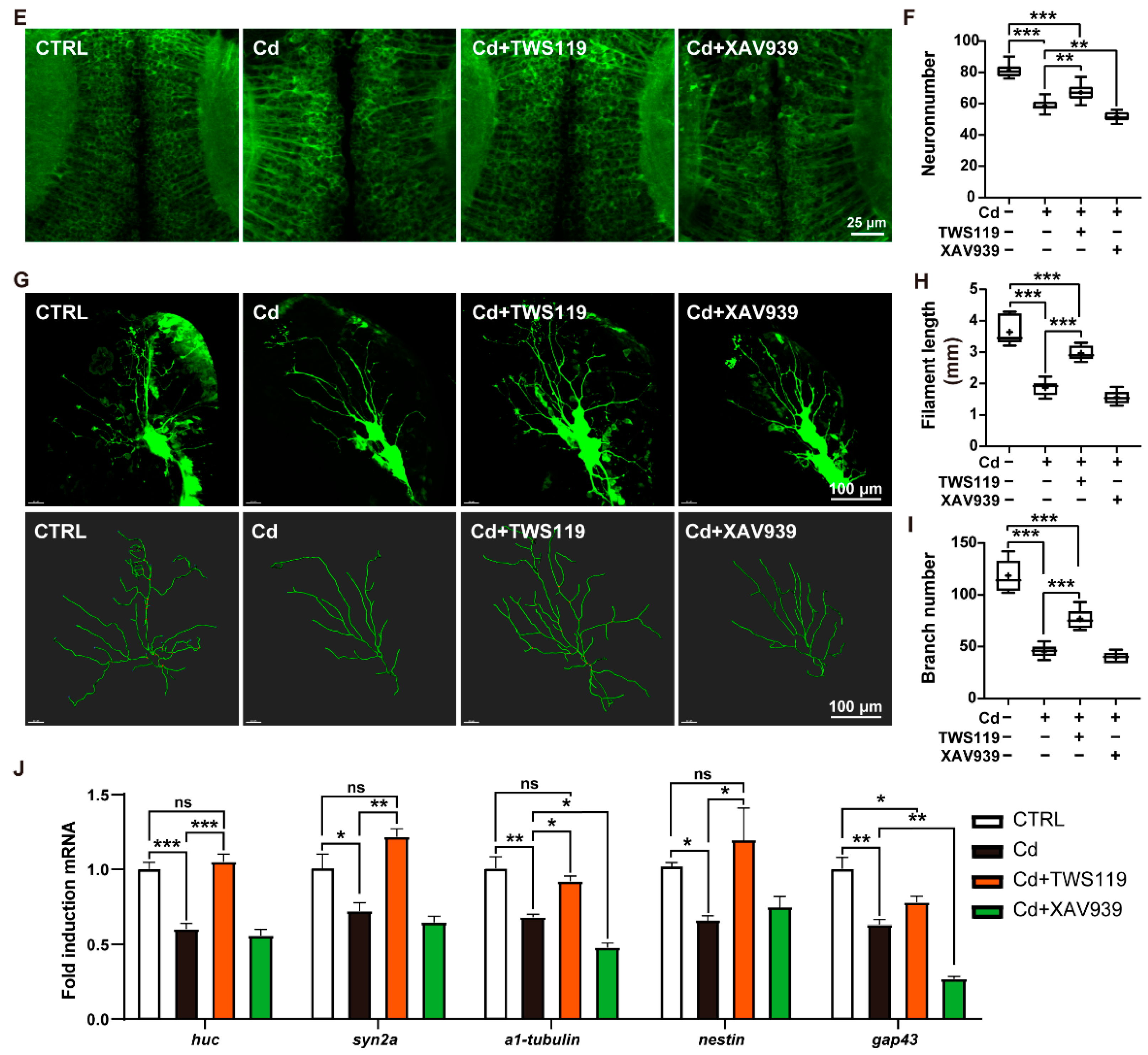 Ijms 23 11434 g004b Ijms 23 11434 g004b