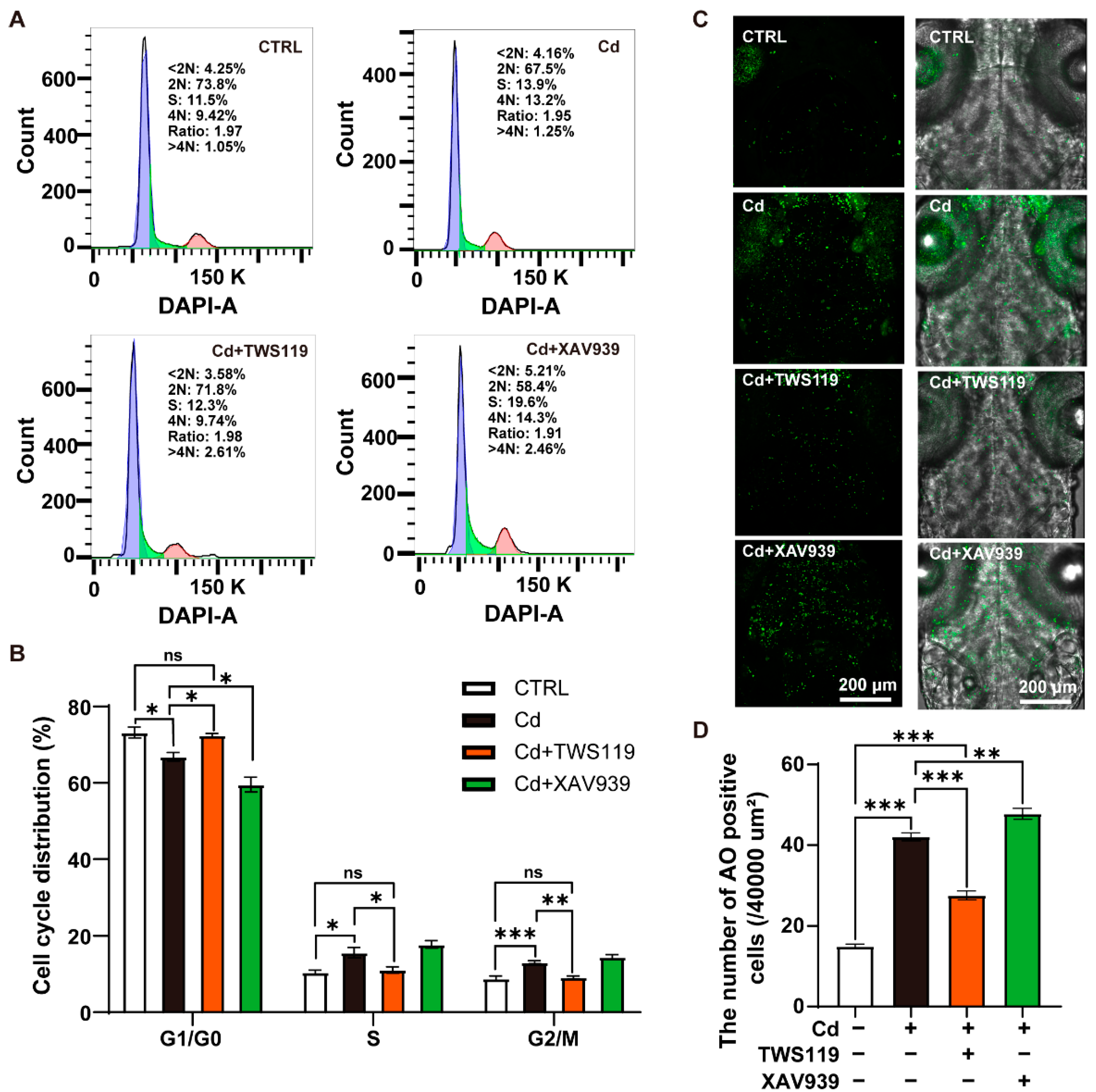 Ijms 23 11434 g005a Ijms 23 11434 g005a