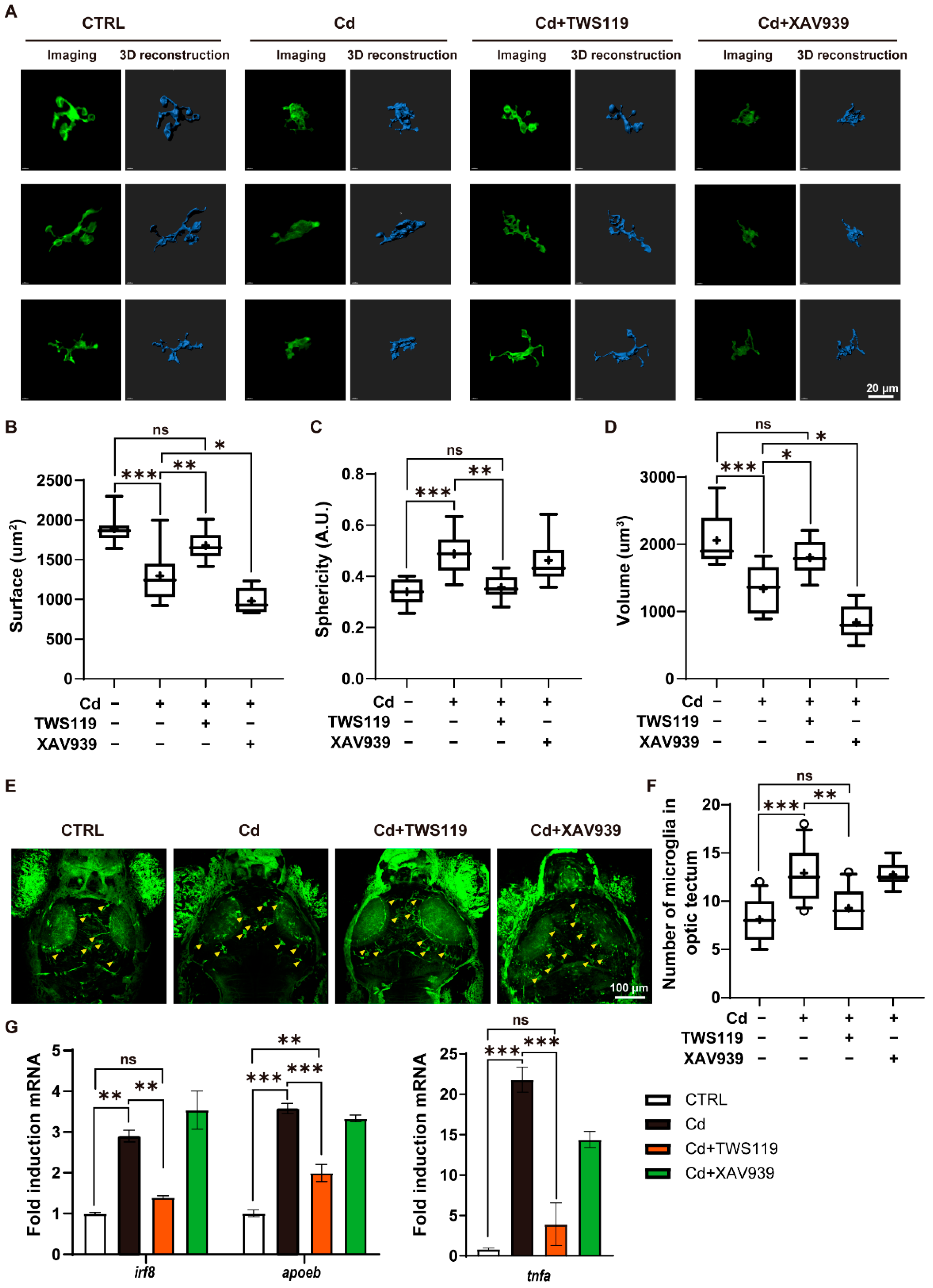 Ijms 23 11434 g006 Ijms 23 11434 g006