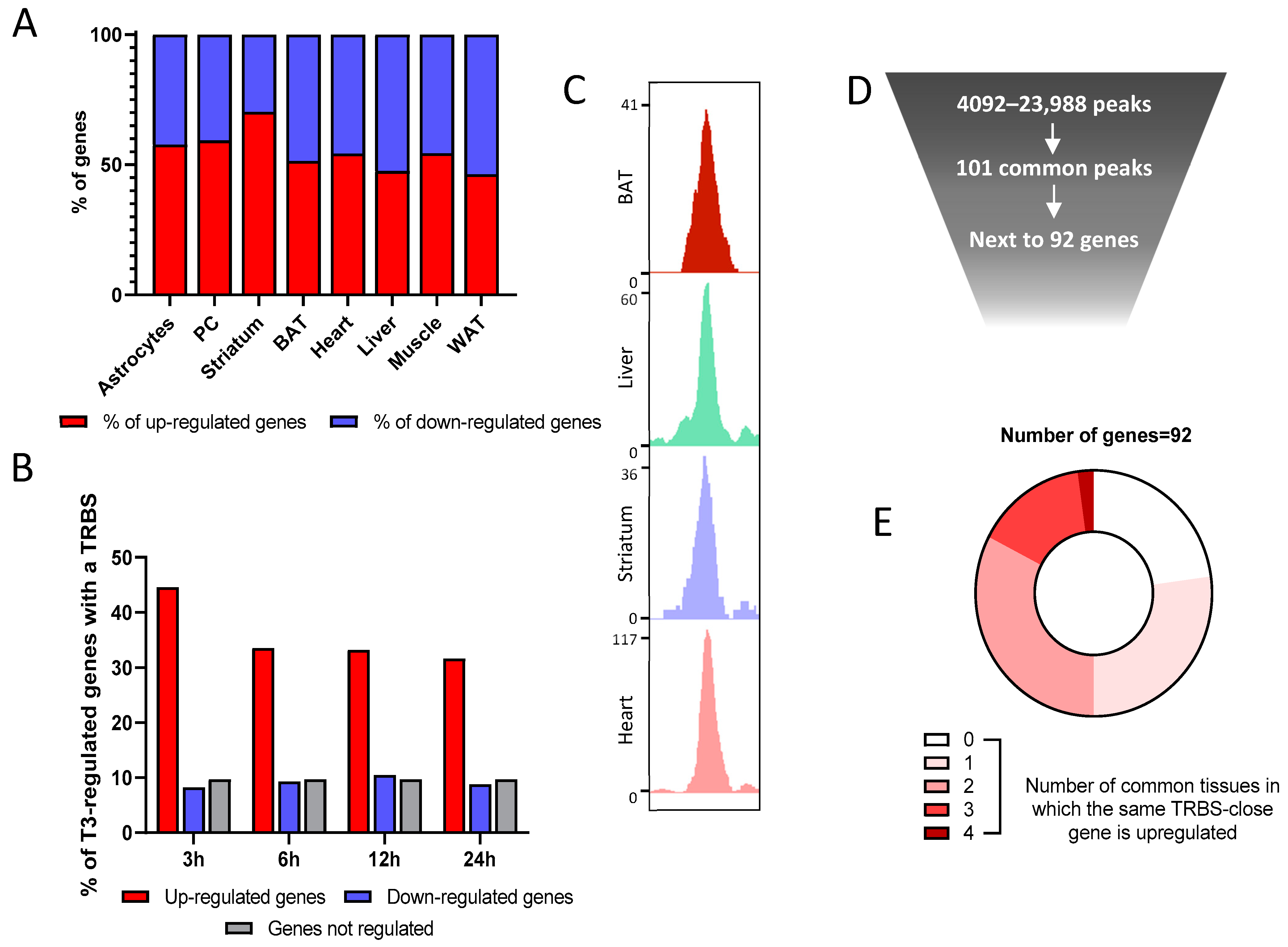 Ijms 23 11444 g004 Ijms 23 11444 g004