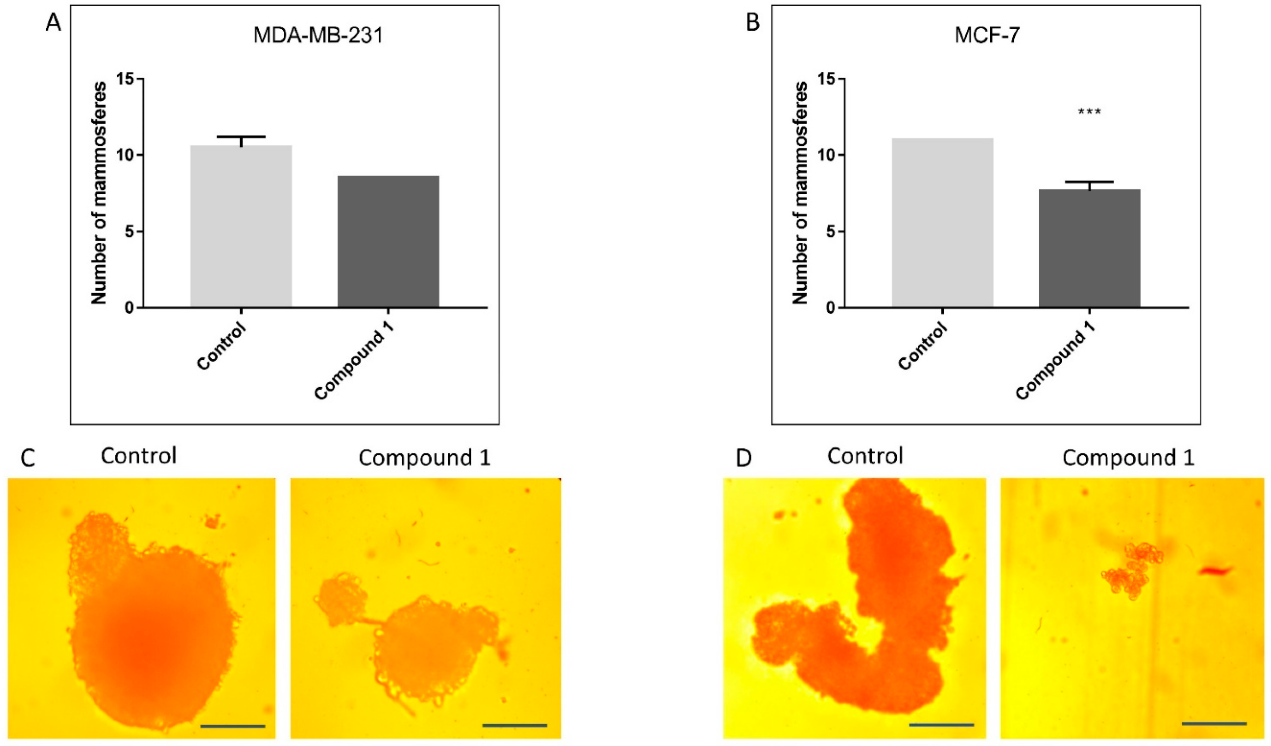 Ijms 23 11457 g003 Ijms 23 11457 g003