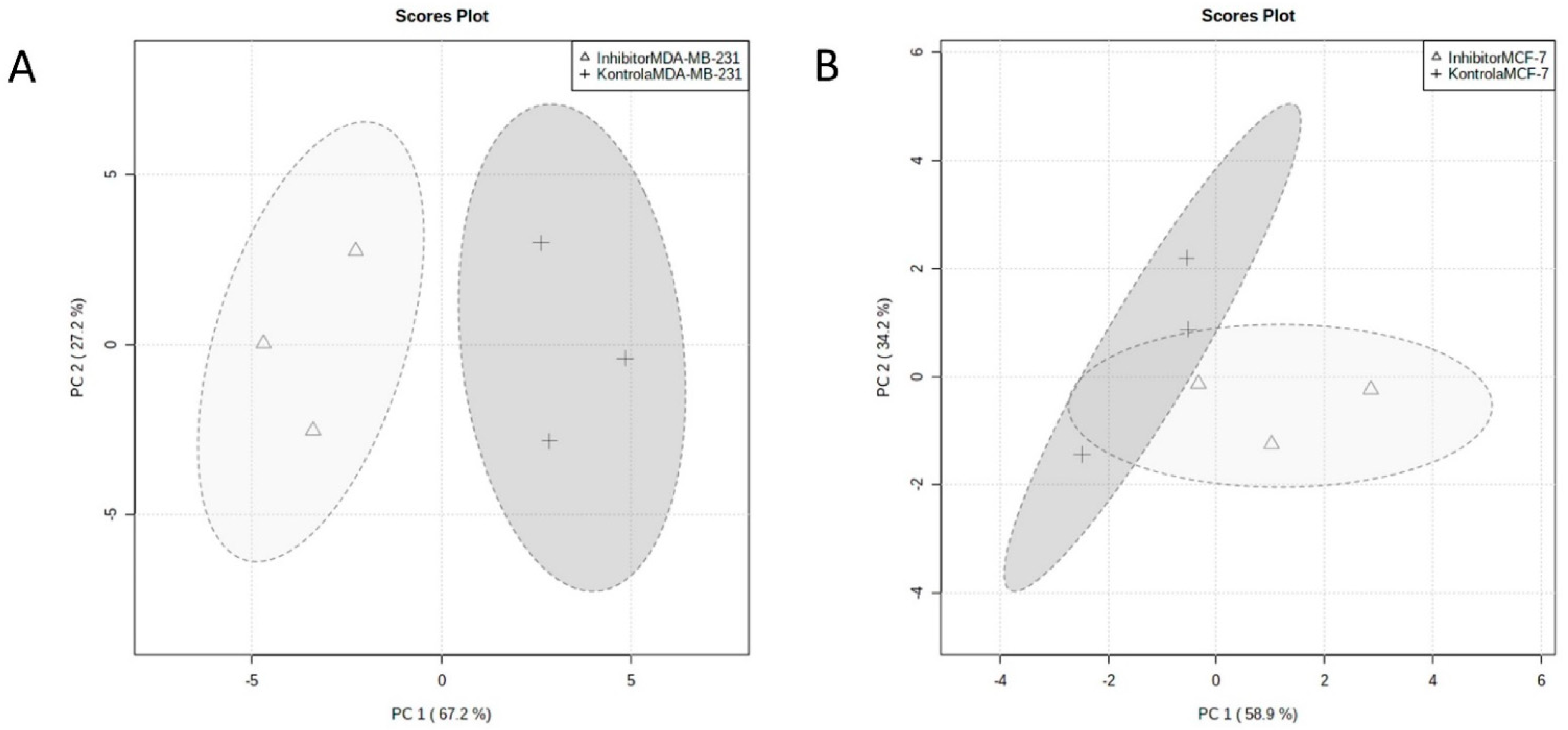 Ijms 23 11457 g007 Ijms 23 11457 g007