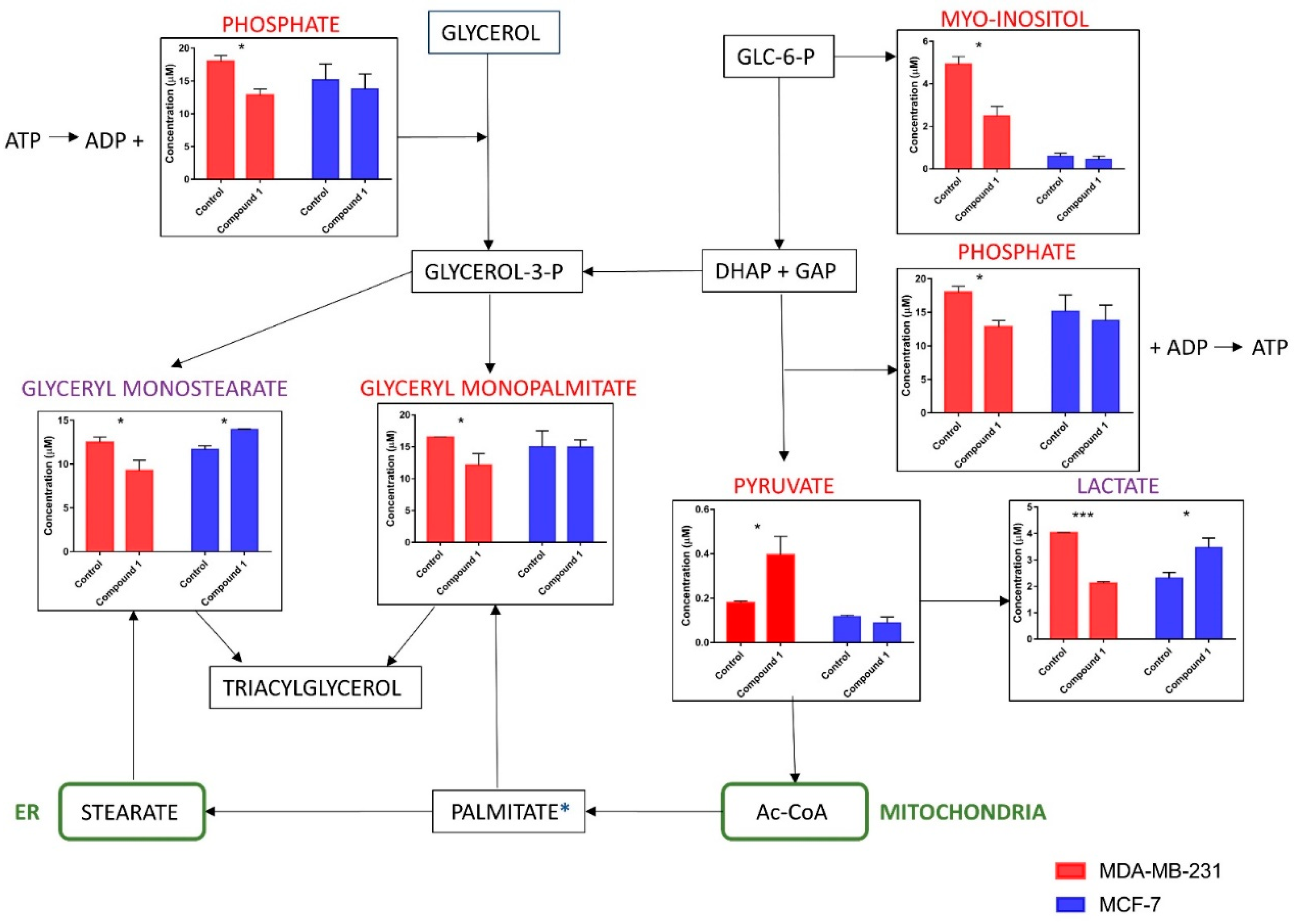 Ijms 23 11457 g009 Ijms 23 11457 g009