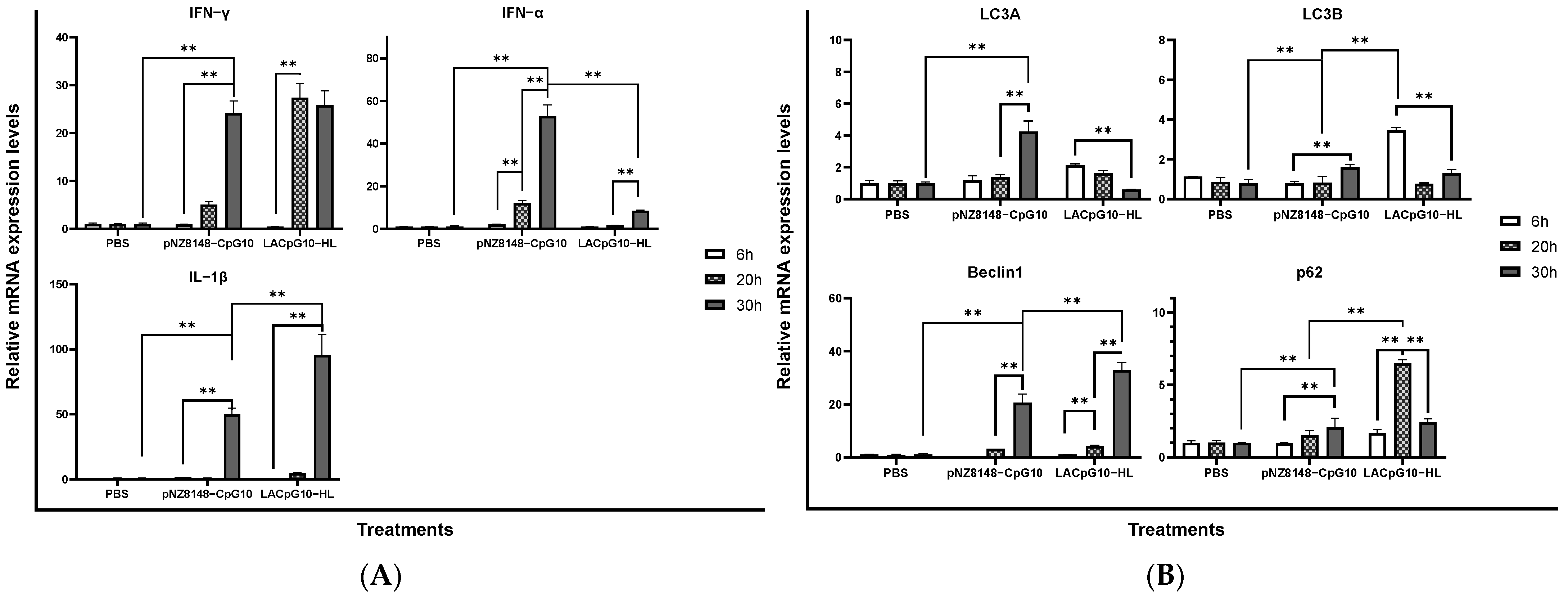 Ijms 23 11466 g001a Ijms 23 11466 g001a