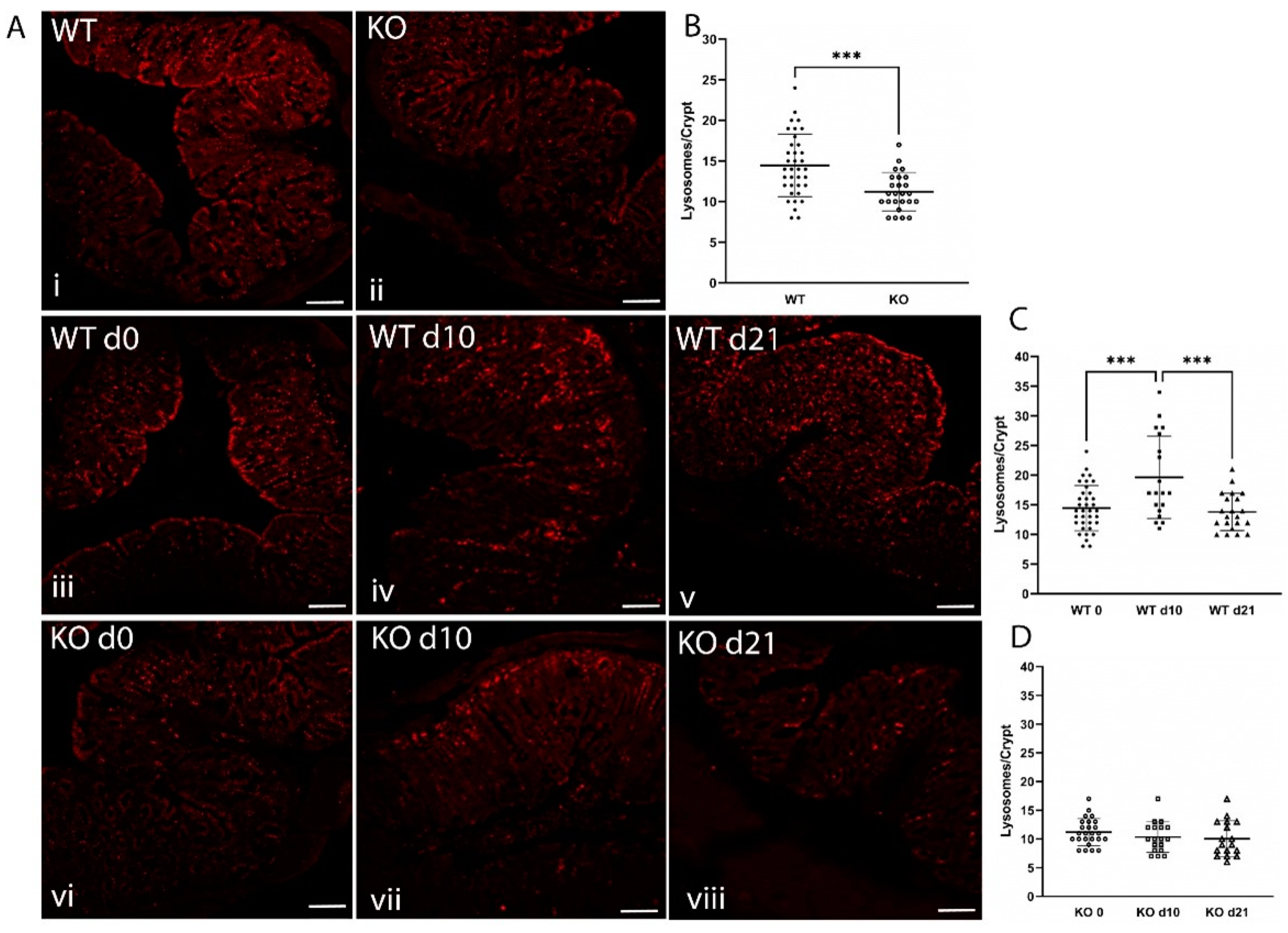 Ijms 23 11467 g007 Ijms 23 11467 g007