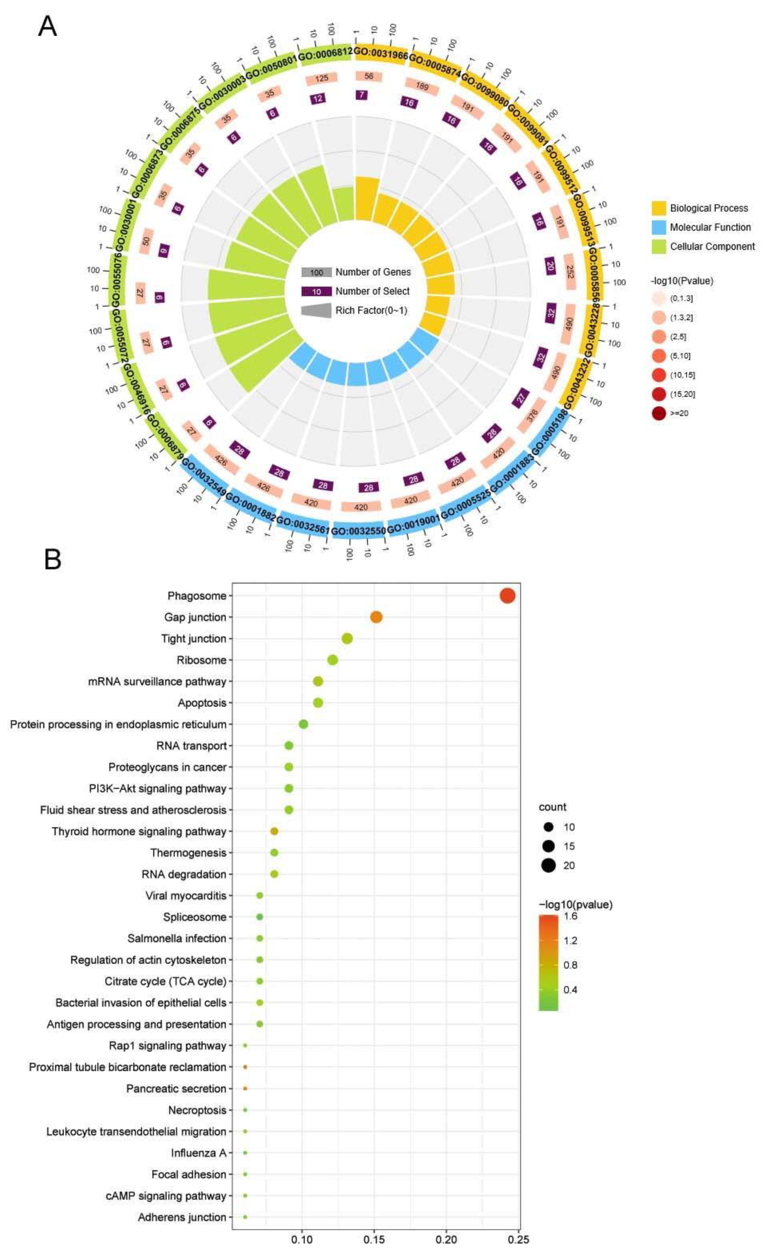 Ijms 23 11474 g004 550