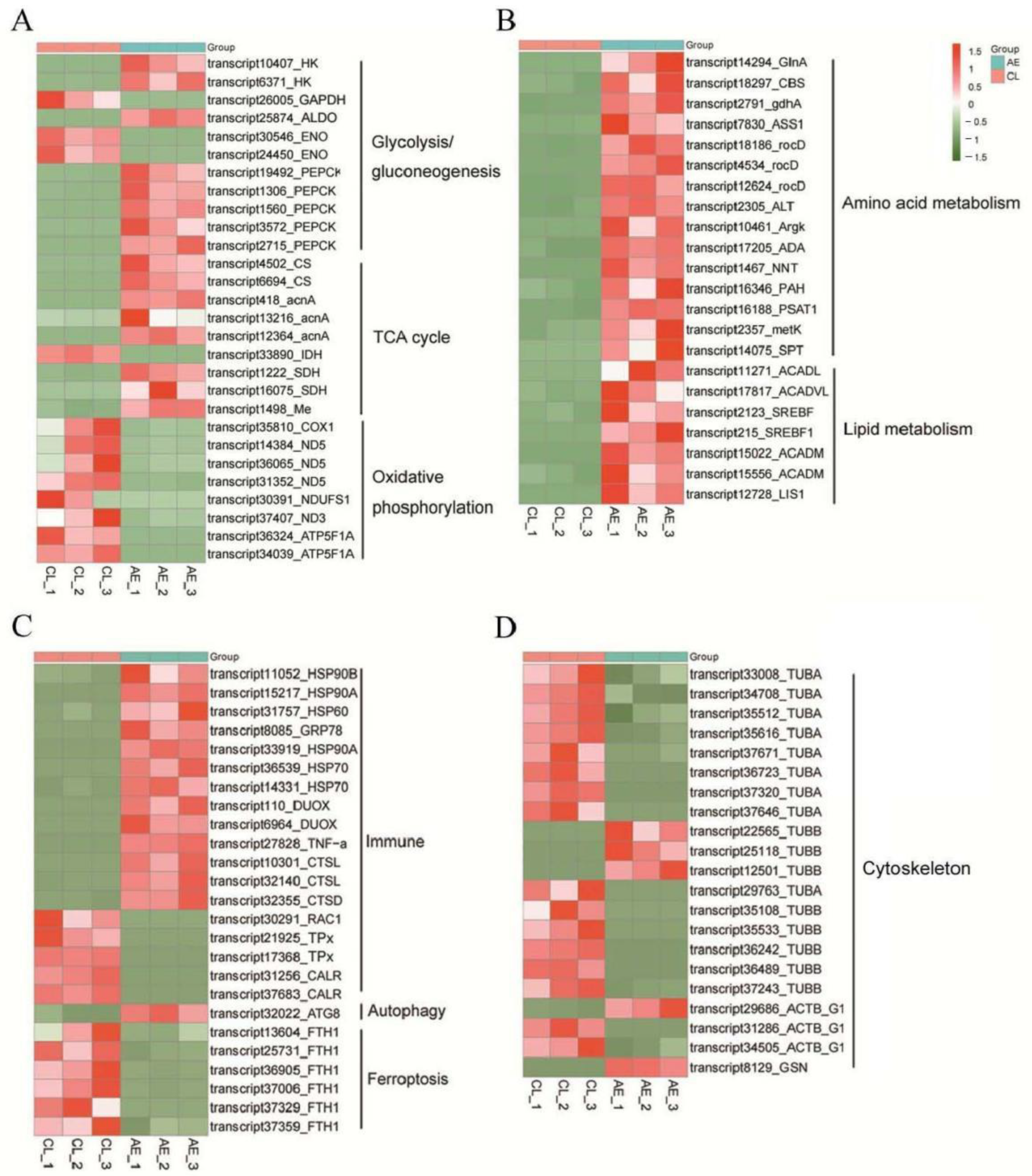 Ijms 23 11474 g005 550