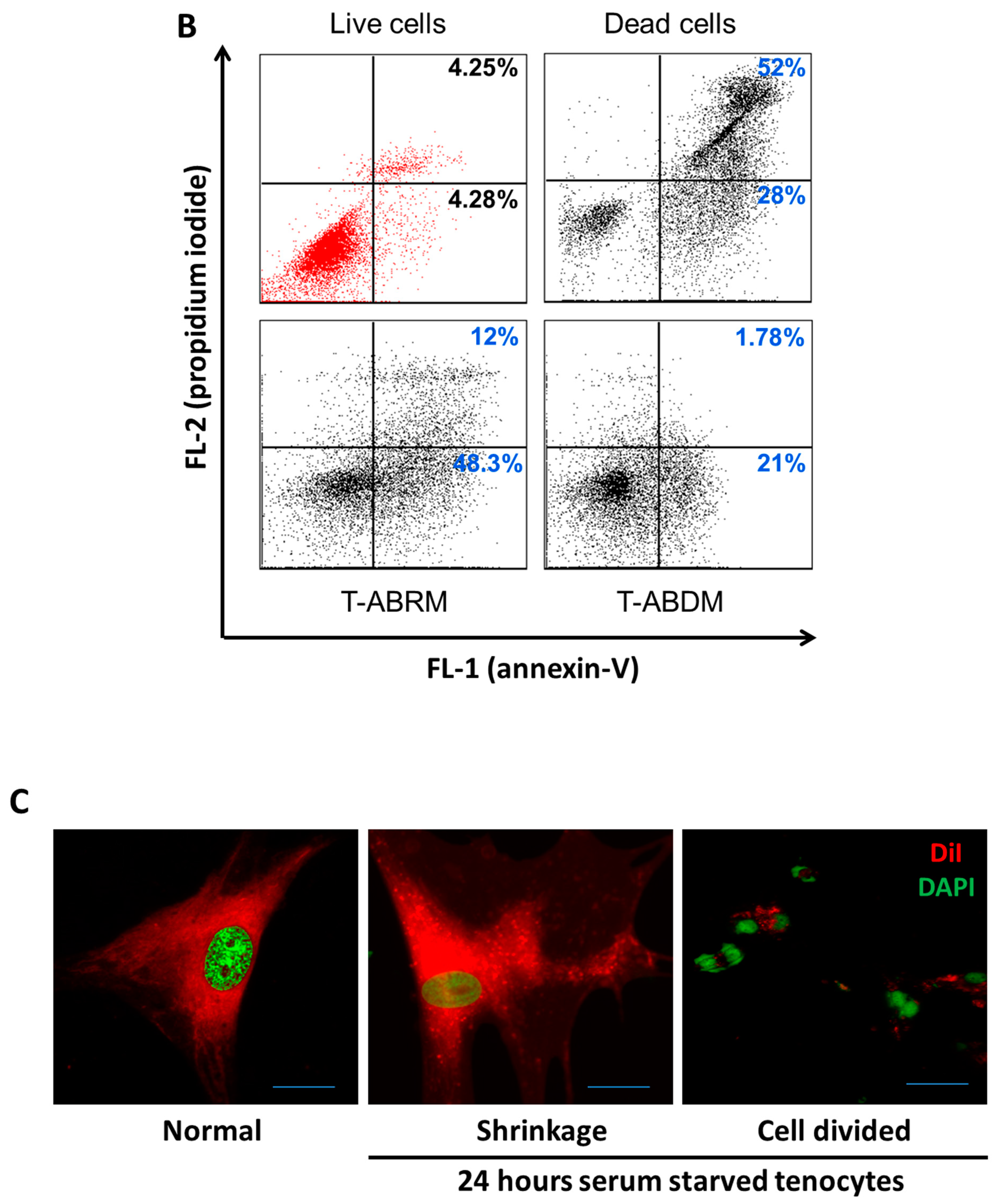 Ijms 23 11475 g001b Ijms 23 11475 g001b