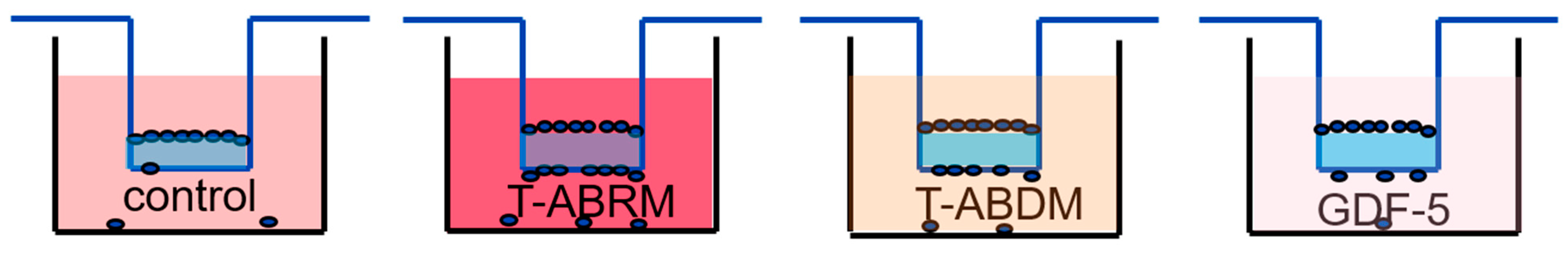 Ijms 23 11475 g007 Ijms 23 11475 g007