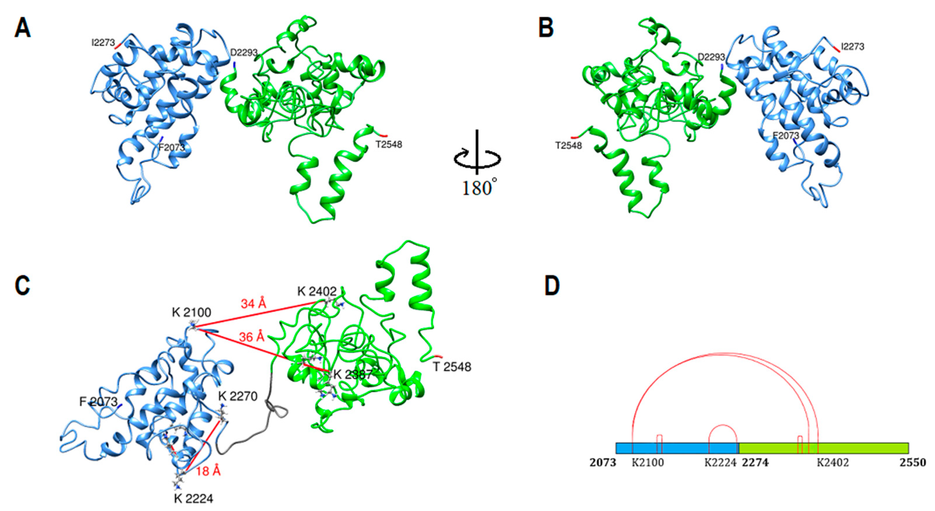 Ijms 23 11480 g004 Ijms 23 11480 g004