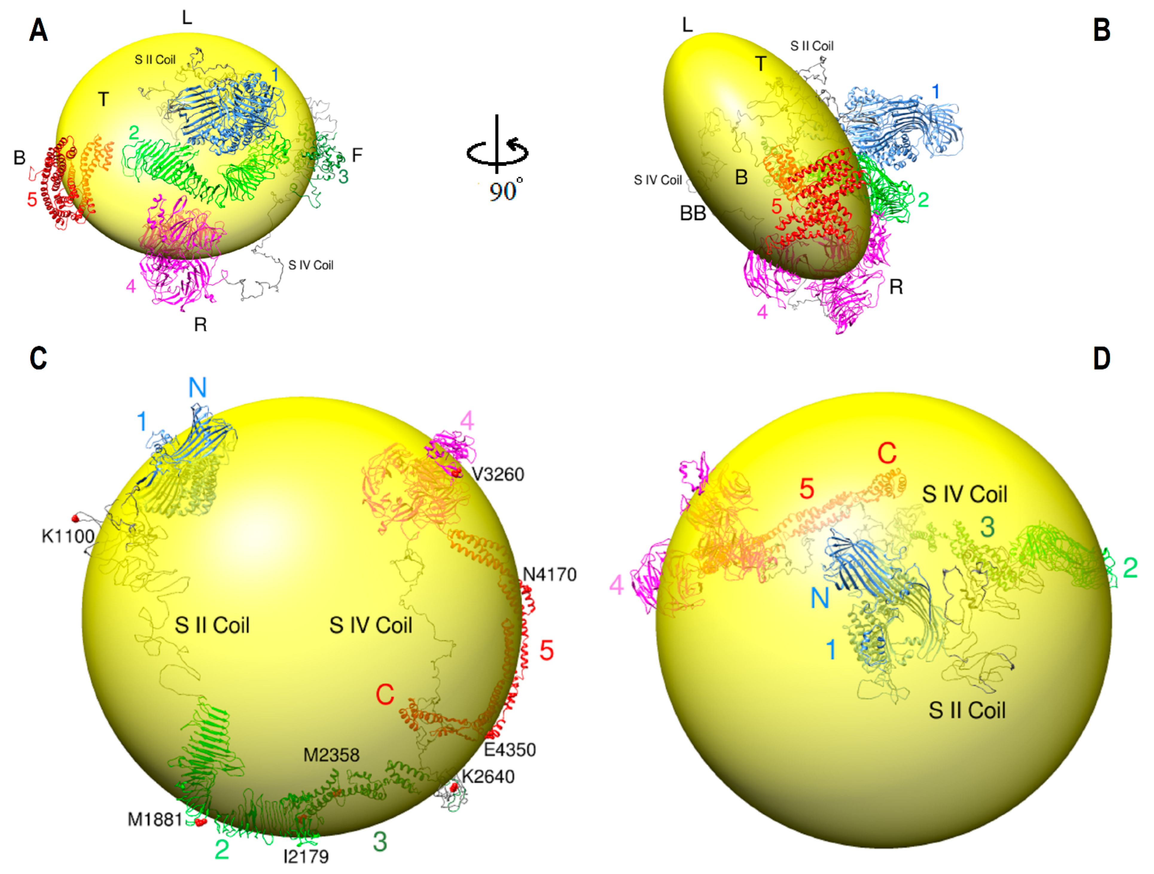 Ijms 23 11480 g008 Ijms 23 11480 g008