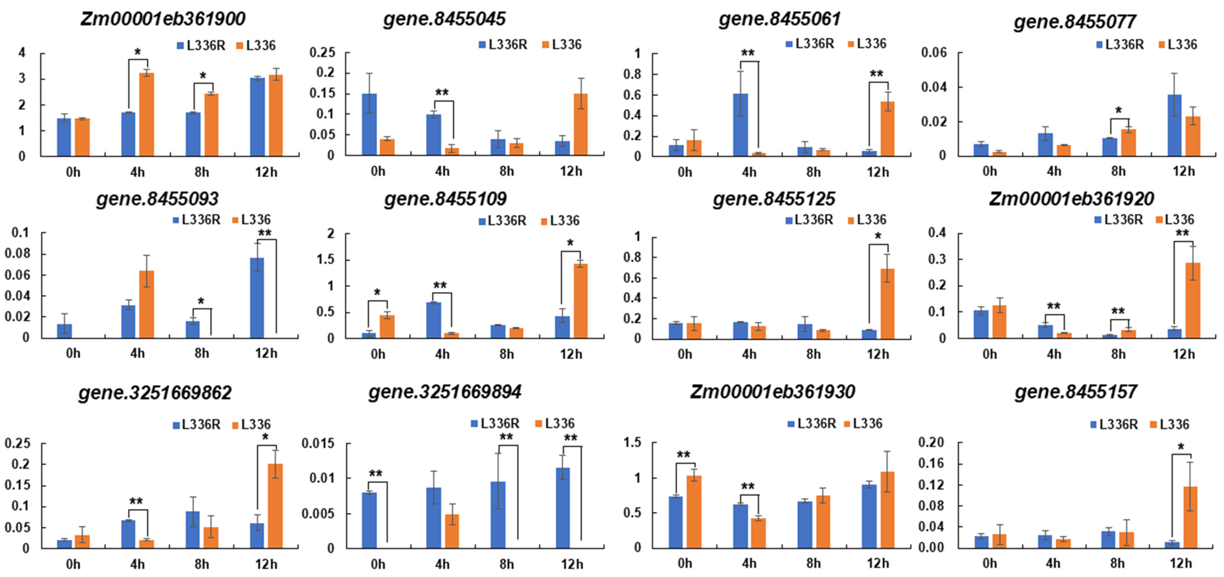 Ijms 23 11481 g004 Ijms 23 11481 g004