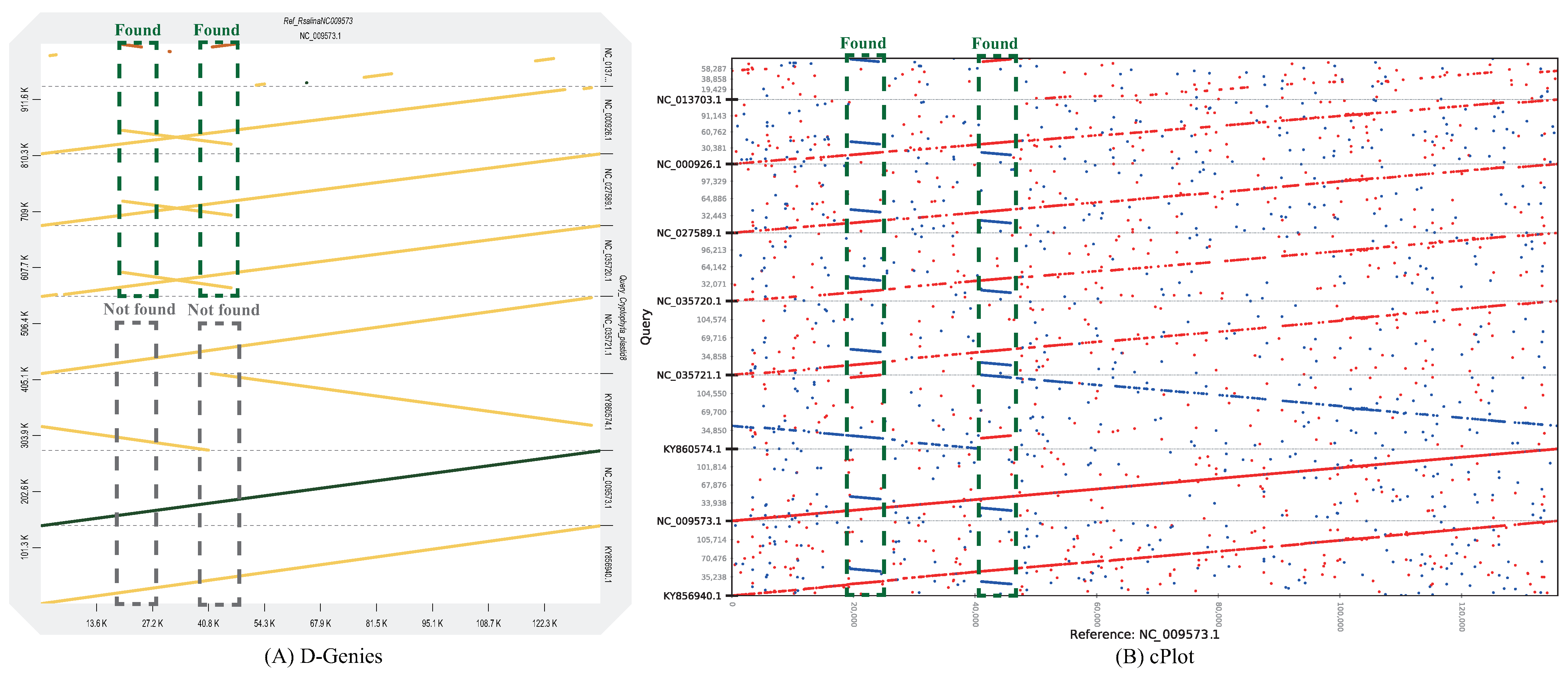 Ijms 23 11484 g004 Ijms 23 11484 g004