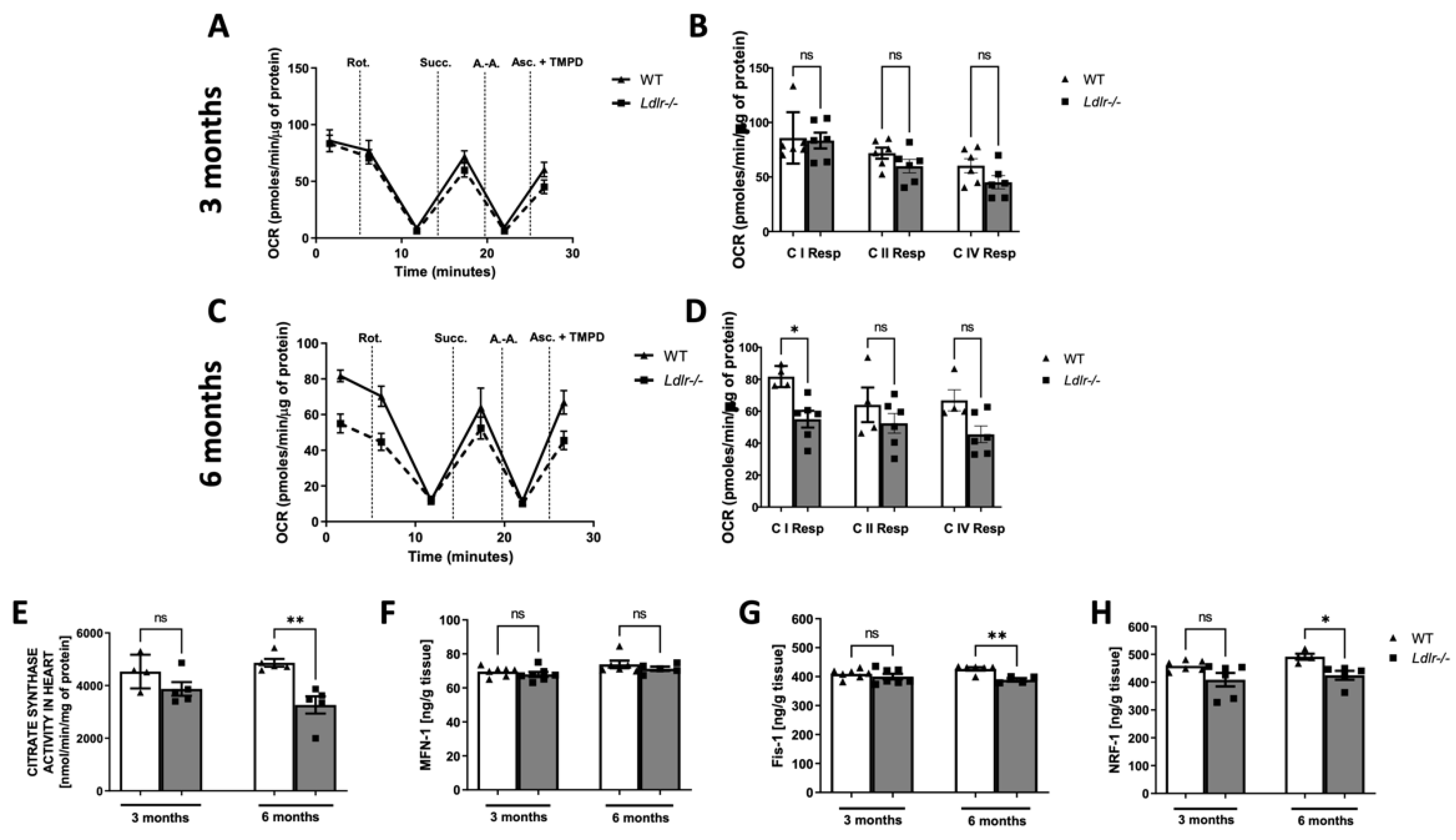 Ijms 23 11488 g001 Ijms 23 11488 g001