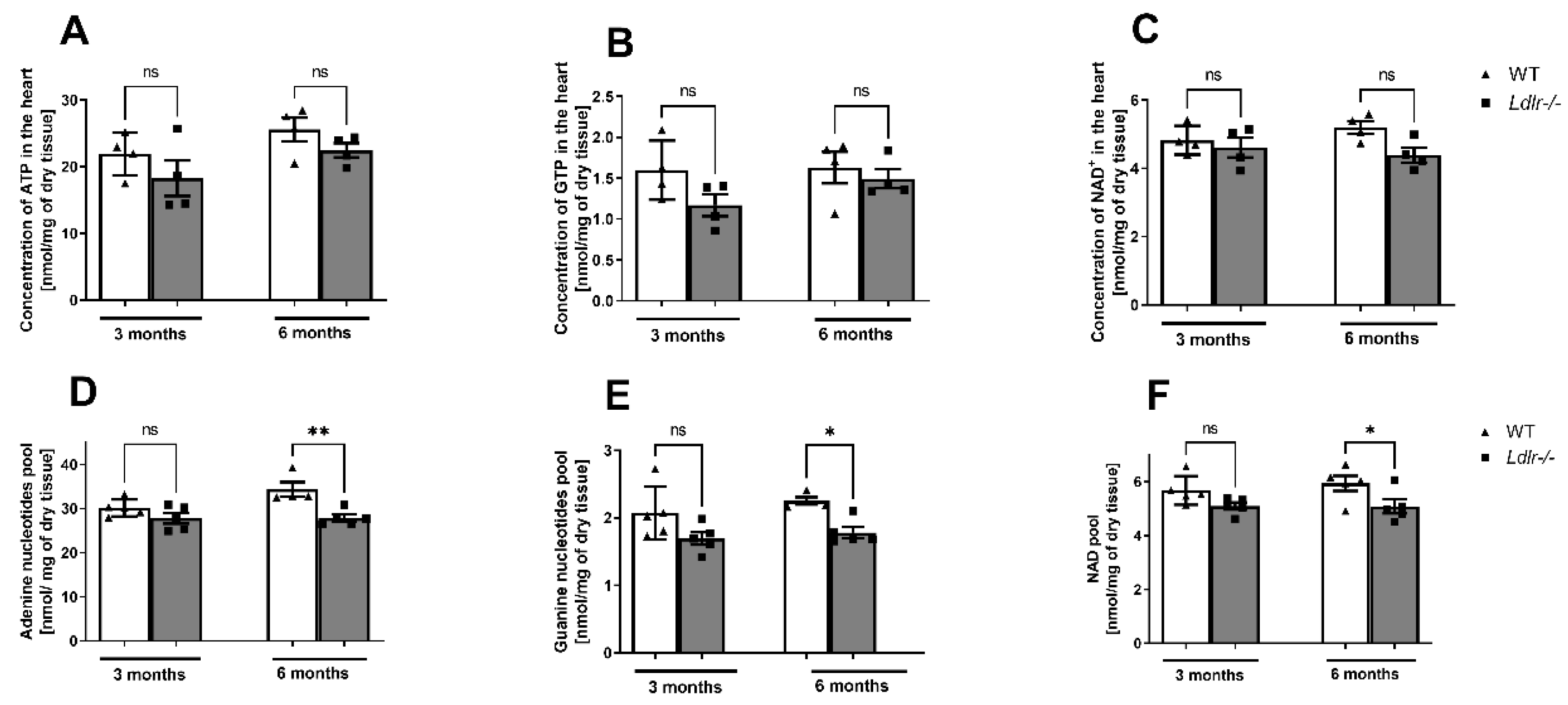 Ijms 23 11488 g002 Ijms 23 11488 g002