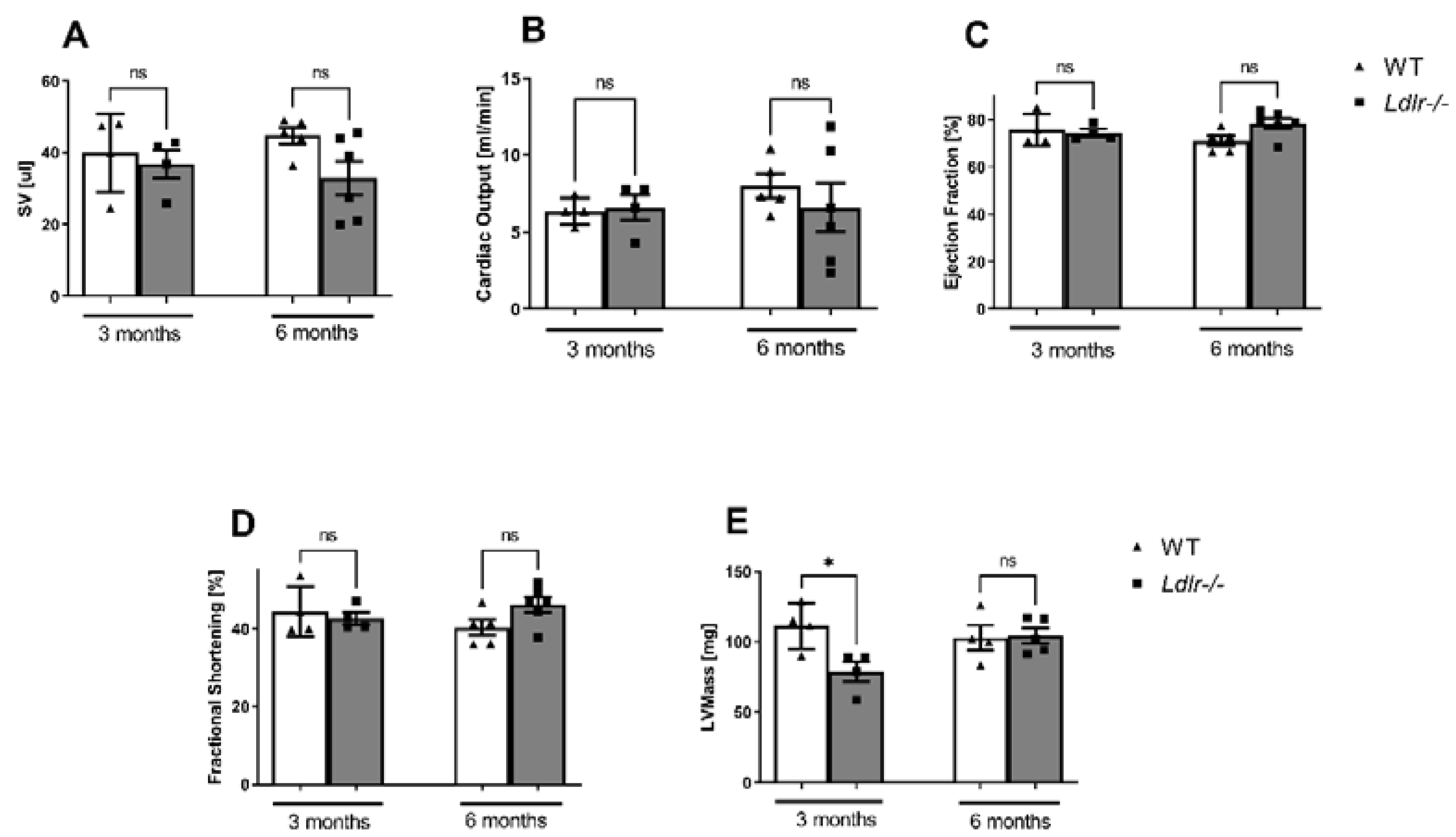 Ijms 23 11488 g005 Ijms 23 11488 g005