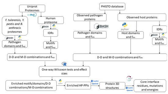 Ijms Free Full Text Analysis Of Host Ndash Bacteria Protein Interactions Reveals Conserved Domains And Motifs That Mediate Fundamental Infection Pathways Html