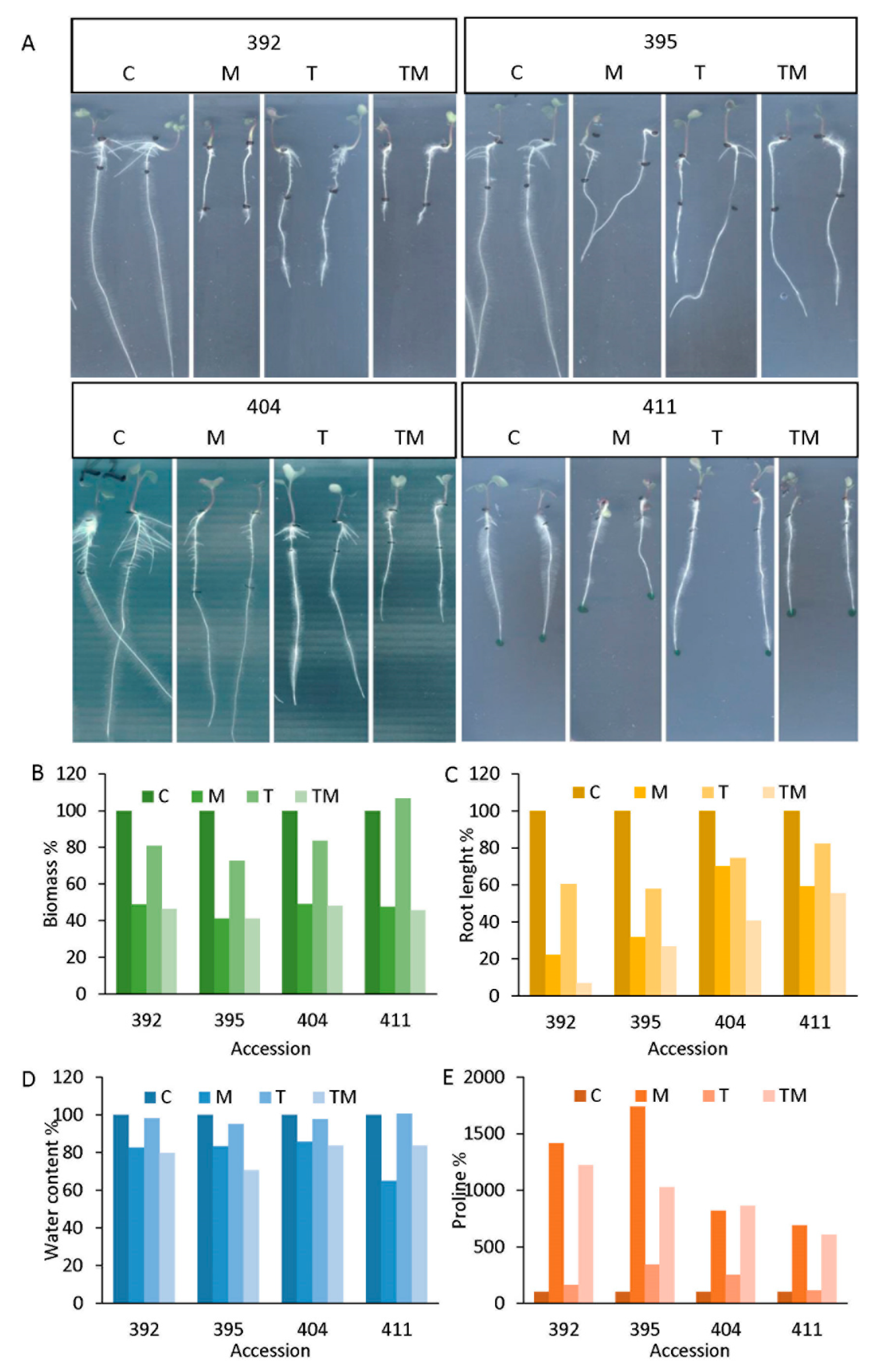 Ijms 23 11494 g002 Ijms 23 11494 g002