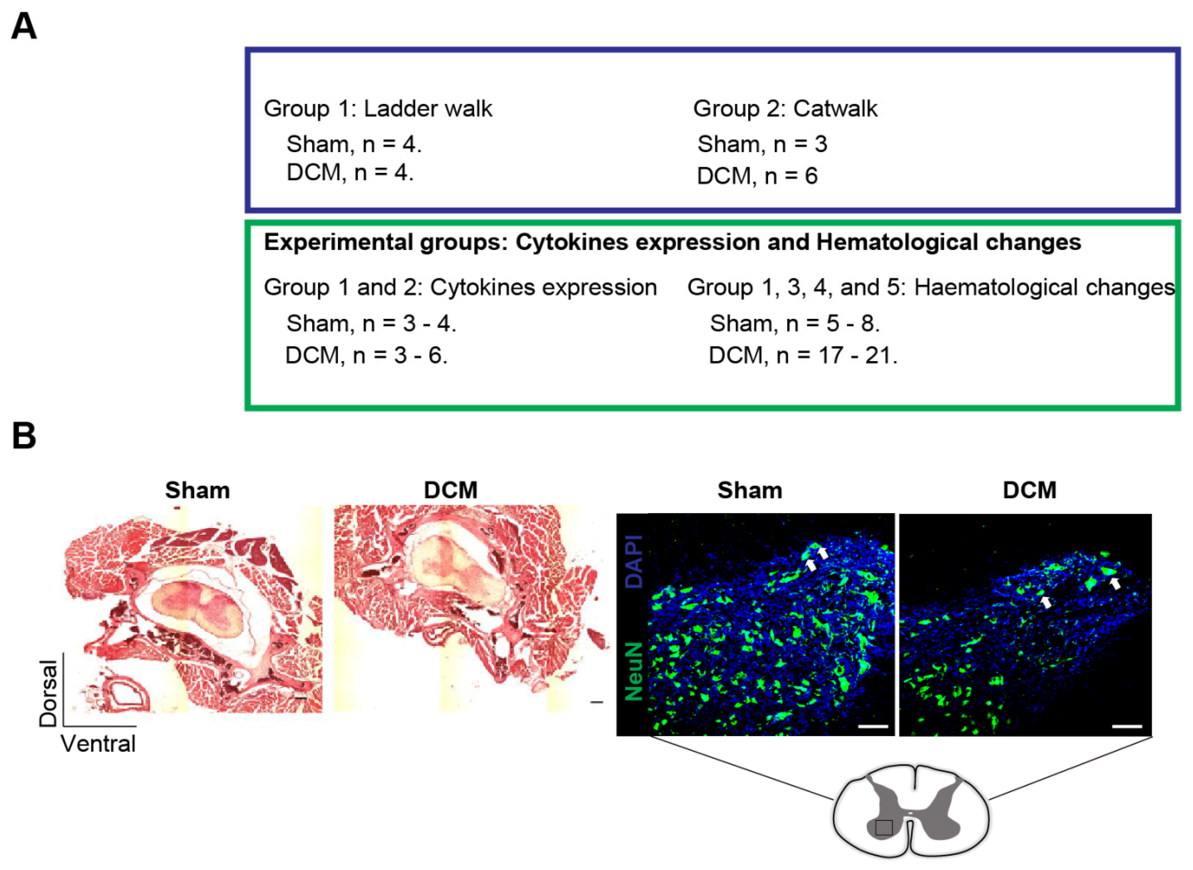 Ijms 23 11496 g001 Ijms 23 11496 g001