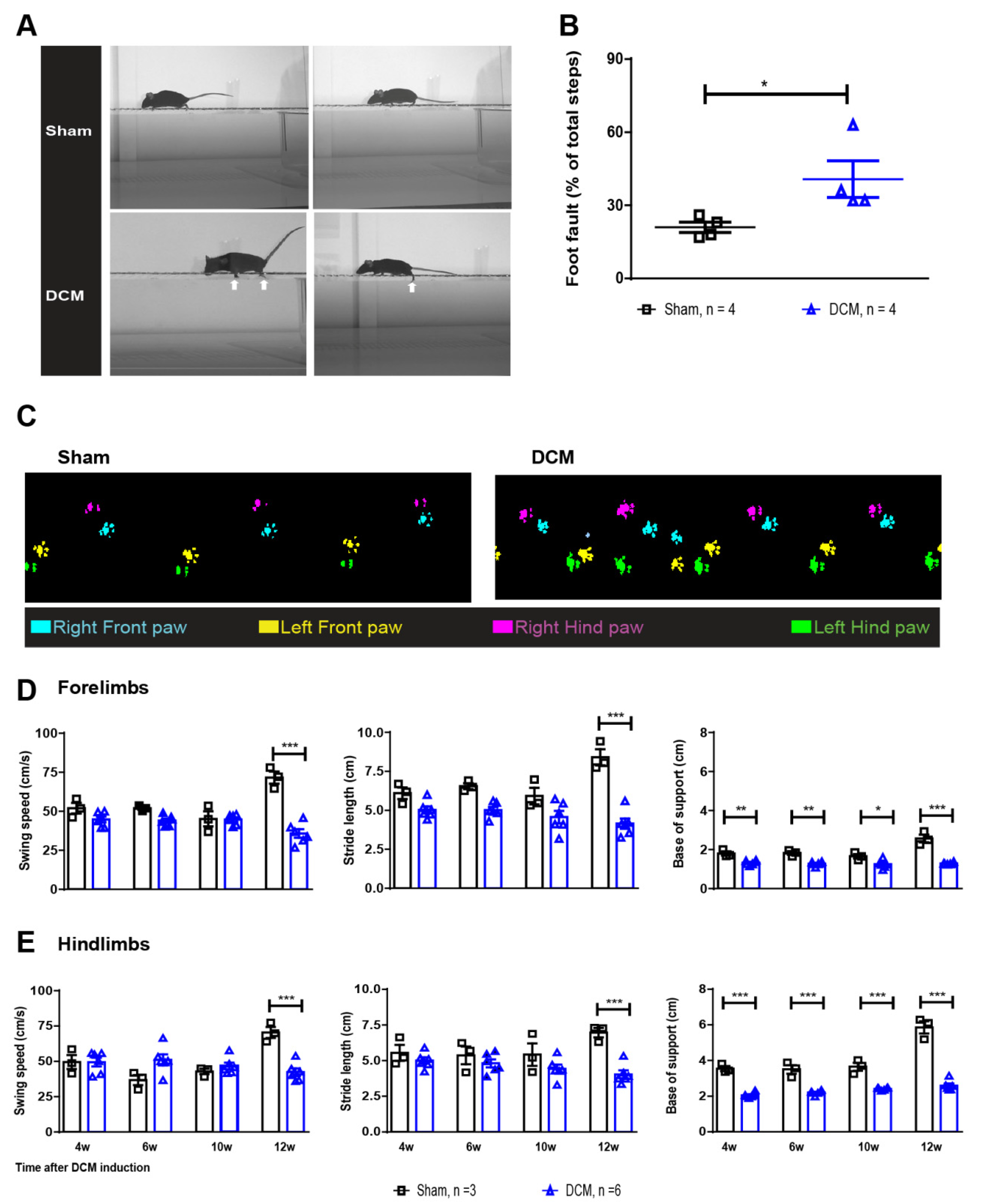 Ijms 23 11496 g002 Ijms 23 11496 g002