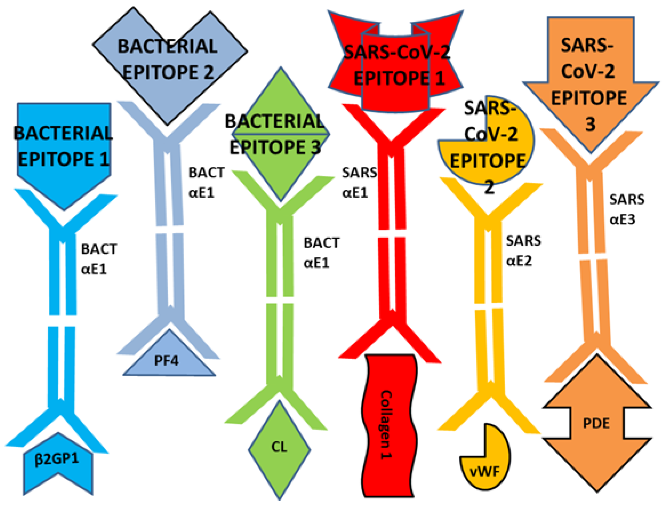 Ijms 23 11500 g015 Ijms 23 11500 g015