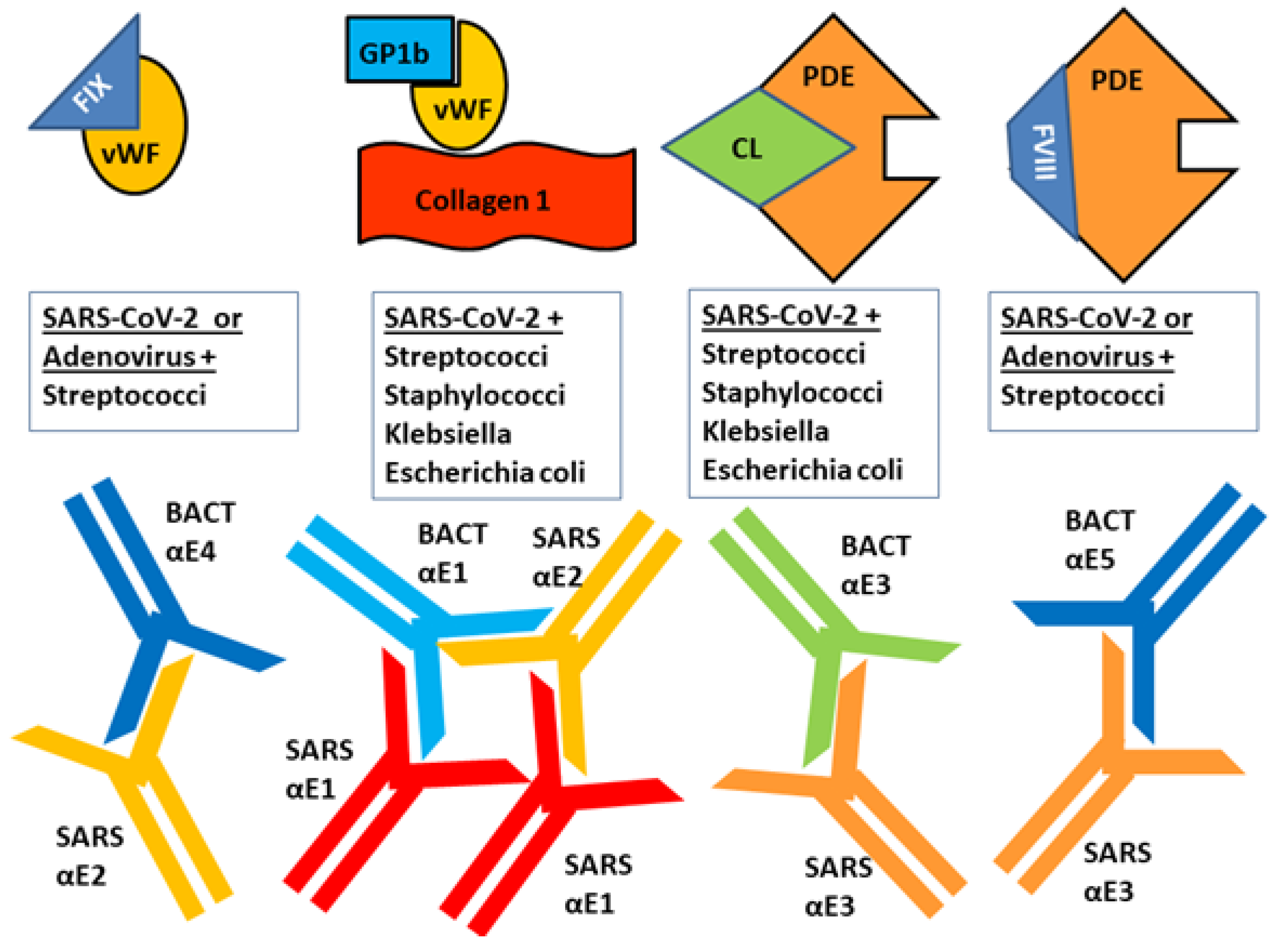 Ijms 23 11500 g016 Ijms 23 11500 g016