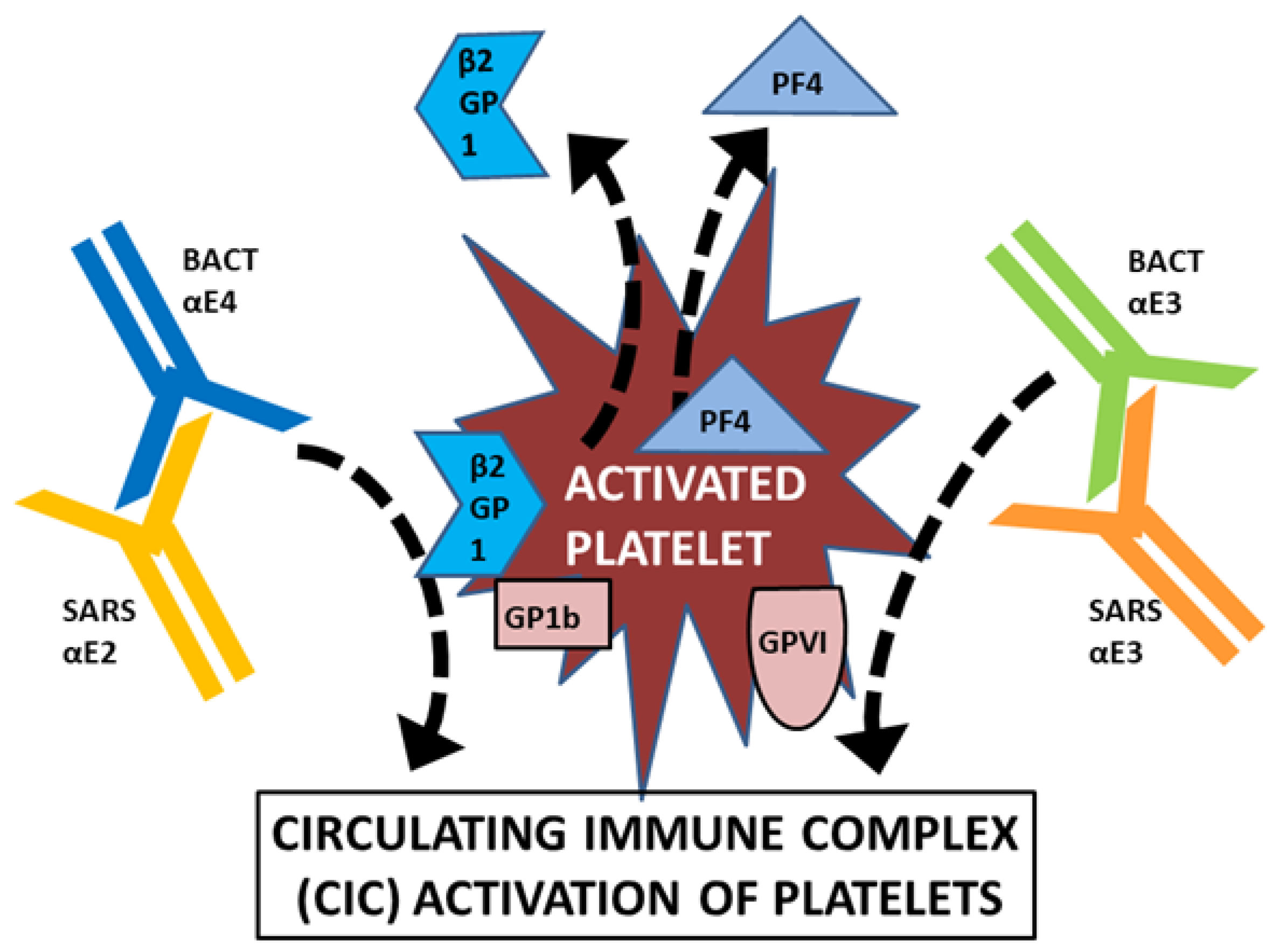 Ijms 23 11500 g017 Ijms 23 11500 g017