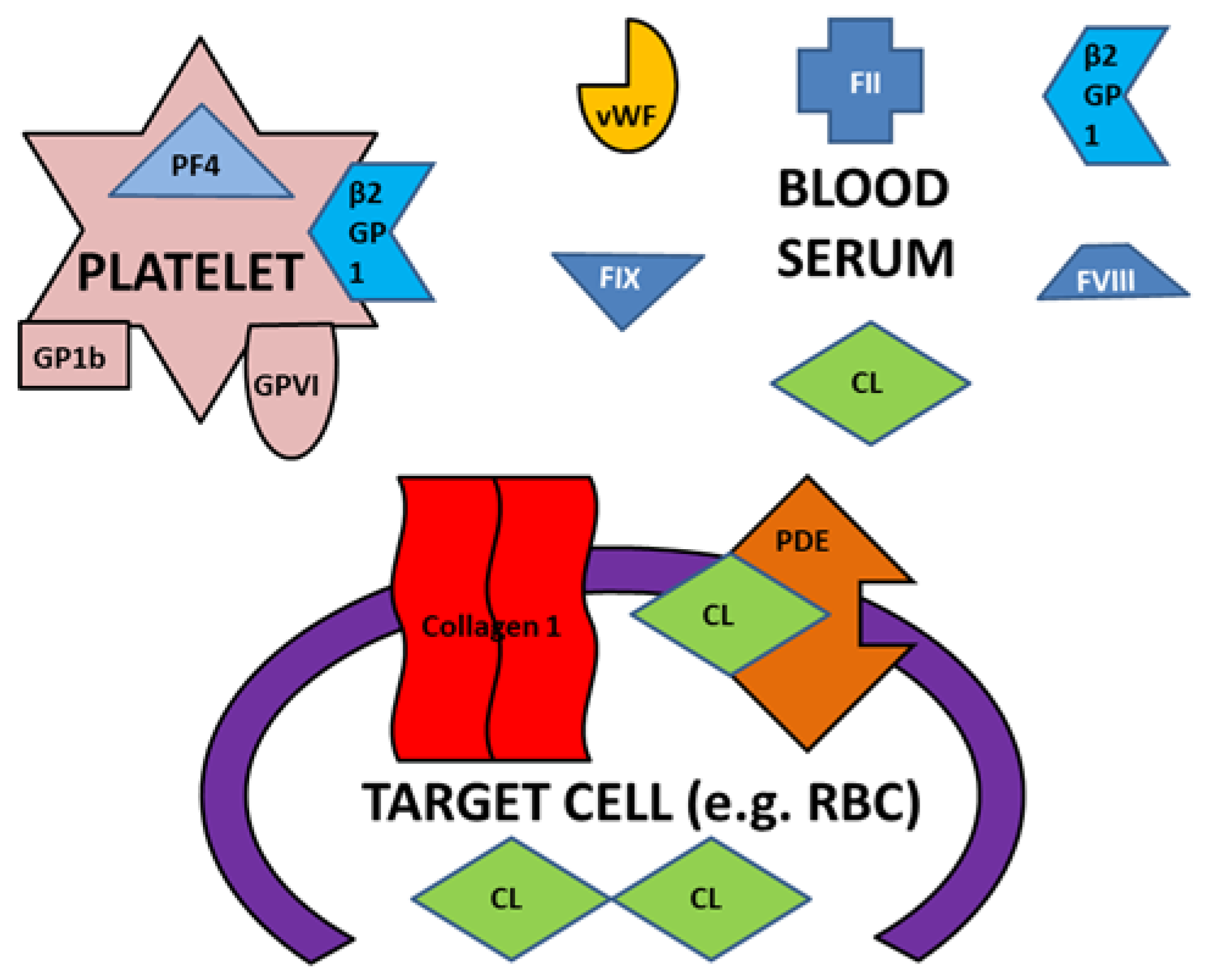 Ijms 23 11500 g018 Ijms 23 11500 g018