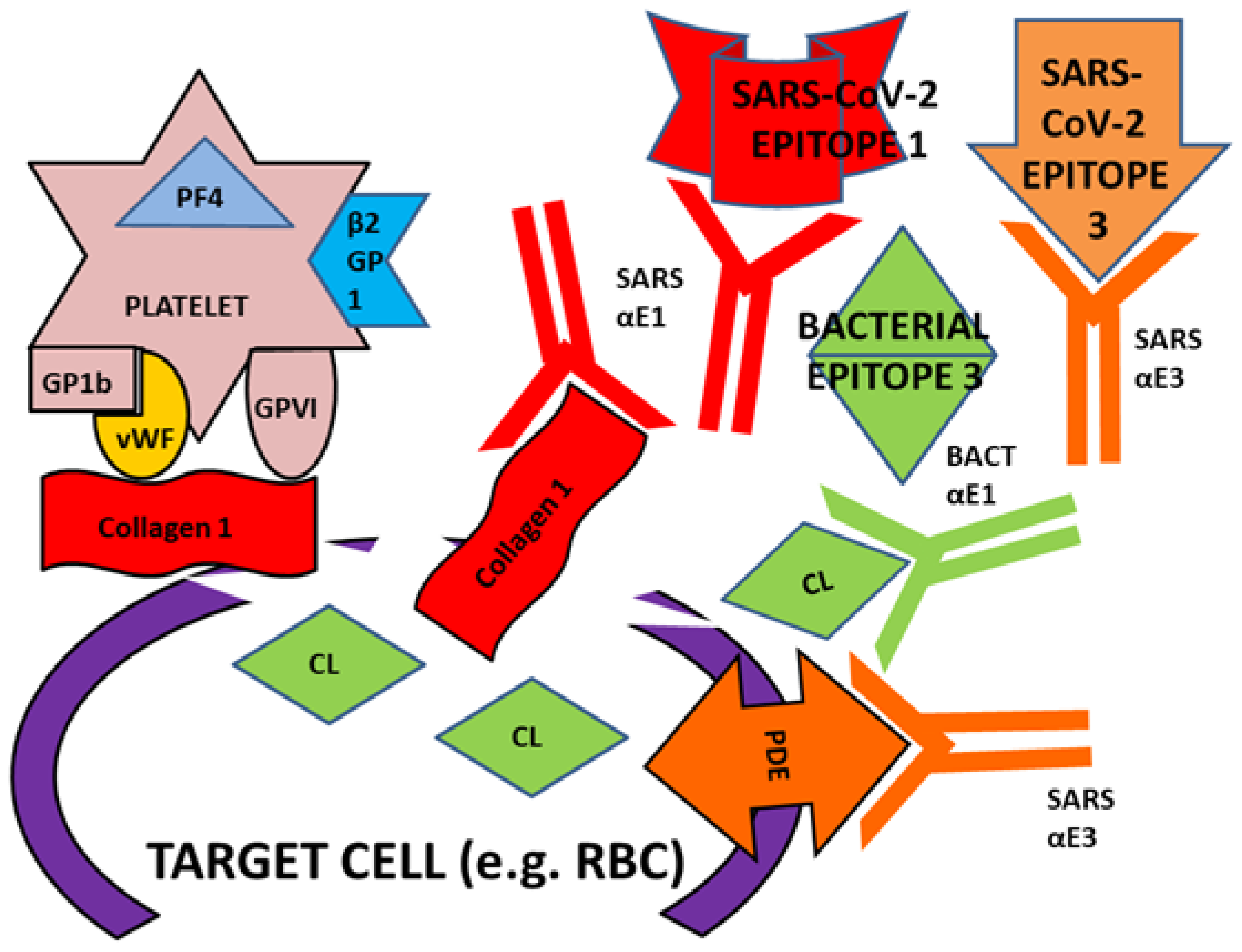 Ijms 23 11500 g019 Ijms 23 11500 g019
