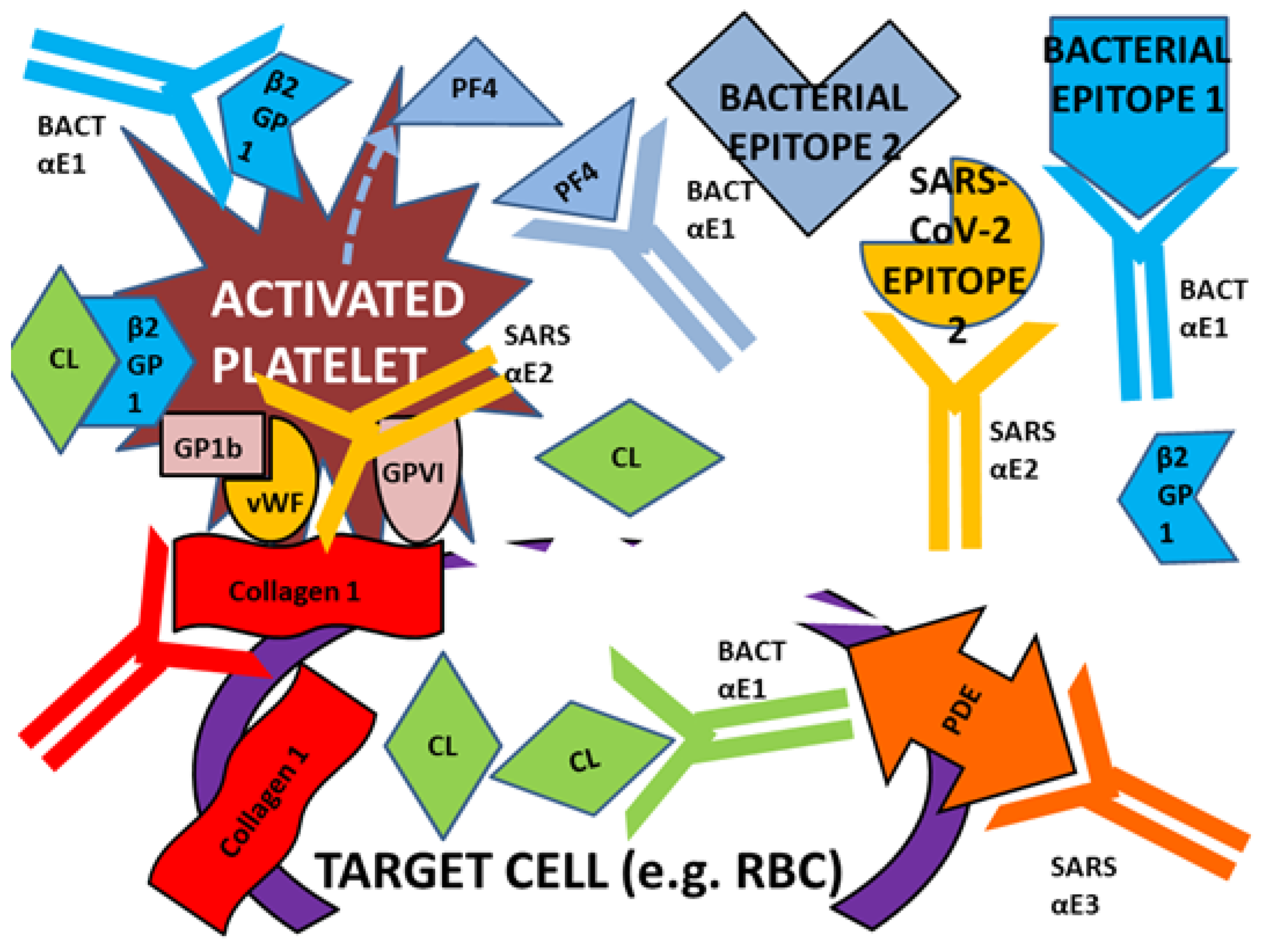 Ijms 23 11500 g020 Ijms 23 11500 g020